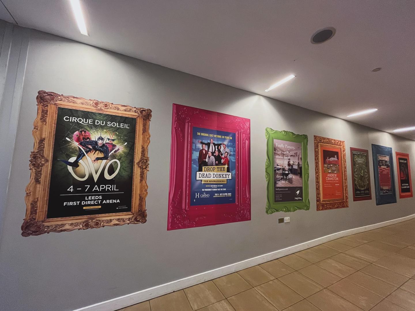 Has anyone seen our stunning new vinyl wall art in…