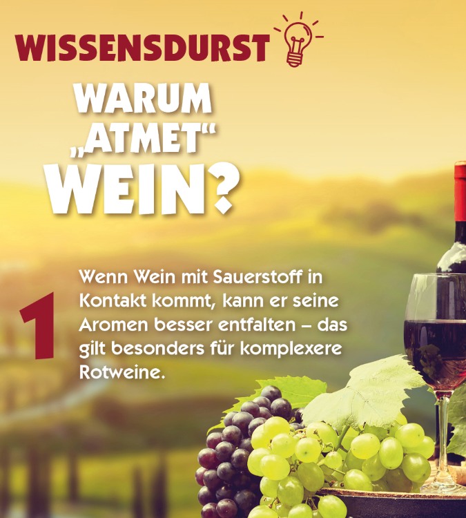 Der Wein muss atmen..
Habt ihr das auch schon mal gehört und euch gefragt, was genau das bedeutet?
Wir haben die Antwort??