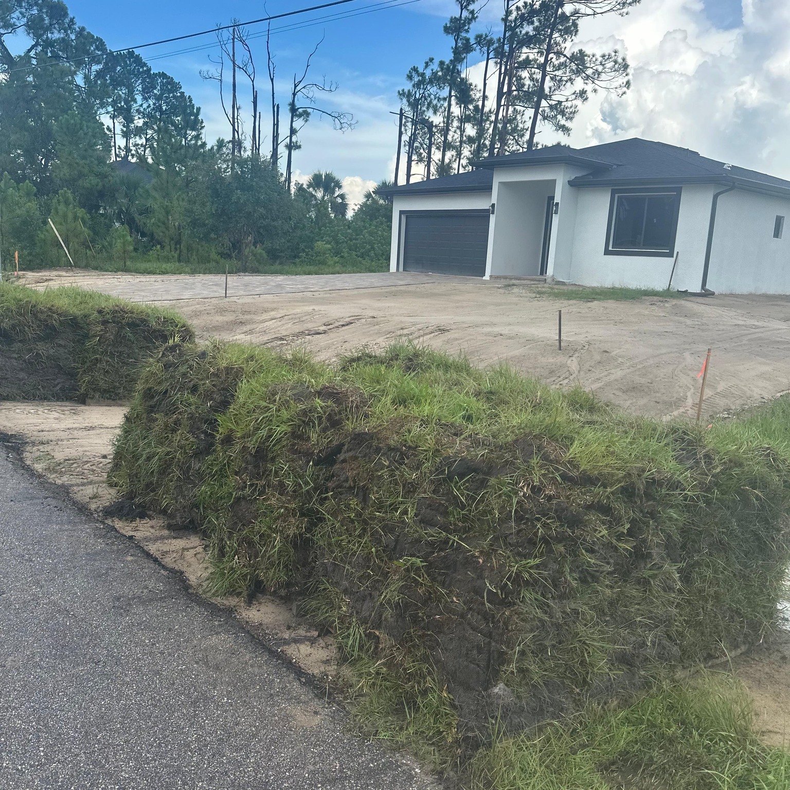 ? A lush lawn is closer than you think! ?
We deliver + install — no DIY needed! ??️
Pick your grass:
✅ Bahia
✅ Zoysia
✅ St. Augustine types
? Prompt service
? Professional finish
? Easy to get started
Text or call Mike at 305-792-8006 — green is the goal!