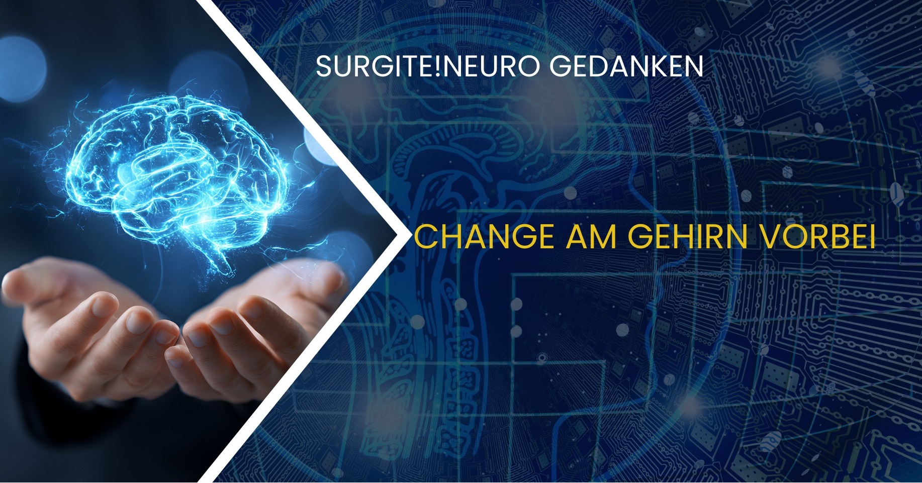 Viele Menschen glauben, sie seien zu schwach für Veränderung.
Doch oft stimmt das gar nicht.
Unser Gehirn ist darauf programmiert, uns zu schützen.
Sobald es Unsicherheit wahrnimmt, aktiviert sich ein kleines Alarmsystem im Gehirn:
die Amygdala.
Dann passiert etwas ganz Typisches:
Gedanken kreisen.
Entscheidungen fallen schwer.
Veränderung fühlt sich plötzlich anstrengend an.
Das ist kein persönliches Versagen.
Es ist ein biologischer Schutzmechanismus.
Wenn wir verstehen, wie unser Gehirn funktioniert, können wir lernen, auch in unsicheren Zeiten innerlich stabil zu bleiben.
? In meinem neuen Video aus der Reihe Surgite Neuro-Gedanken erkläre ich, warum Veränderung sich innerlich oft so schwer anfühlt.
https://youtu.be/hiSoHF86CnA #stressmanagement #StressManagement #stressmanagementtips #stressmanagement101 #stressmanagementtools #stressmanagementcoach #veränderung #veränderungscoaching #change #changement #changemanagement #ChangeYourMindset
