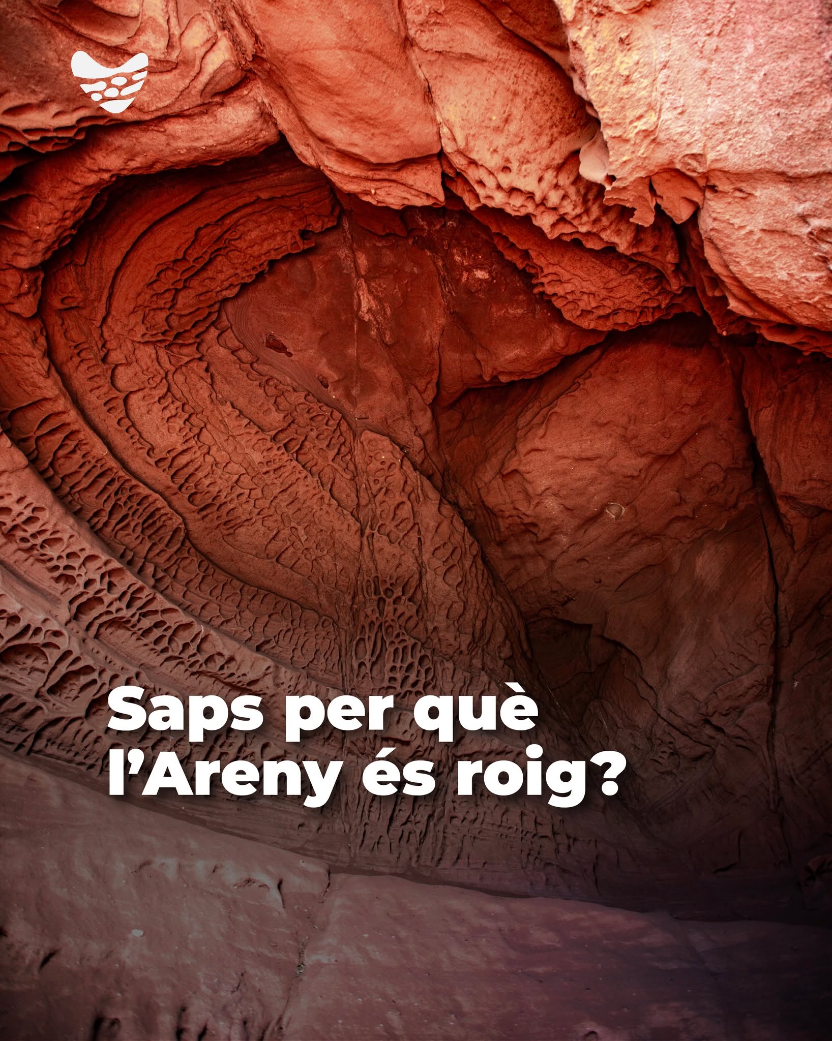 ❤️ Per què l’Areny és roig? Darrere d’aquest paisatge tan singular hi ha milions d’anys d’història geològica, roques vermelles, òxids de ferro i formes modelades pel vent i l’aigua. Llisca i descobreix-ho.❤️ ¿Por qué el Areny es rojo? Detrás de este paisaje tan singular hay millones de años de historia geológica, rocas rojas, óxidos de hierro y formas modeladas por el viento y el agua. Desliza y descúbrelo.❤️ Why is l’Areny red? Behind this unique landscape lie millions of years of geological history, red rocks, iron oxides and shapes sculpted by wind and water. Swipe to discover it.❤️ Pourquoi l’Areny est-il rouge ? Derrière ce paysage si singulier se cachent des millions d’années d’histoire géologique, des roches rouges, des oxydes de fer et des formes sculptées par le vent et l’eau. Faites défiler pour le découvrir.#montroigmiamiturisme #miamiplatja #costadaurada #catalunyaexperience