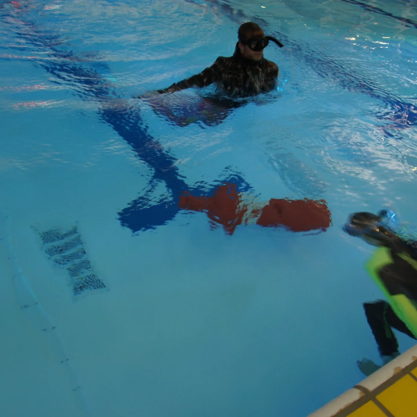 Yesterday, we celebrated our last training of the year 2024 with traditionally playing our yearly Freedive Games. With an underwater obstacle swim and mermaids & merman.
We wish you all good holidays and a beautiful breathless new year!
#freediving #freedivegames #freedivingutrecht #Zeist