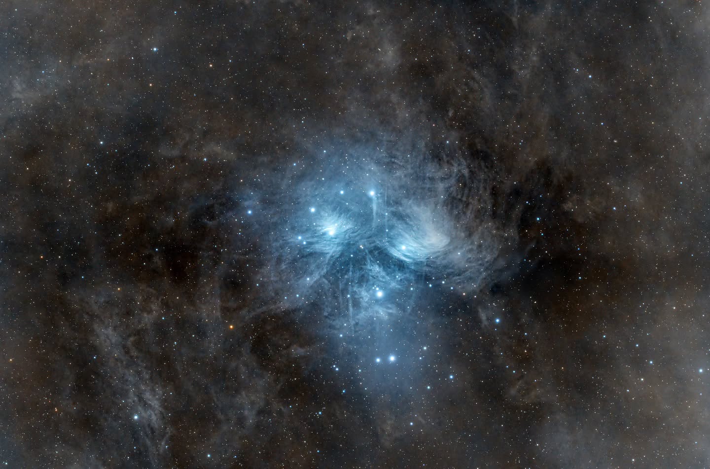 Pleiades / The seven sisters
www.astro-winkerling.de
#celestron
#rasa11 #asi2600 at bortle 5 sky
#yourESA #nasa #astrofotografia #astrofotografie #astropicsdaily #winkerling #heinerweiss #astrofotografie #astrophotography #planetarynebula #heinerweiss_photography #heinerweissphotography #fuckelonmusk #skywatchereq8rpro #hutechidasnbz #backtonature #fightlightpollution #galacticnebula #CelestronRASA11 #zwoasi2600 #zwoasi #stopspacex #vhsschwandorf #astroregensburg #fotoclubregenstauf #passioneastrofotografia #apod