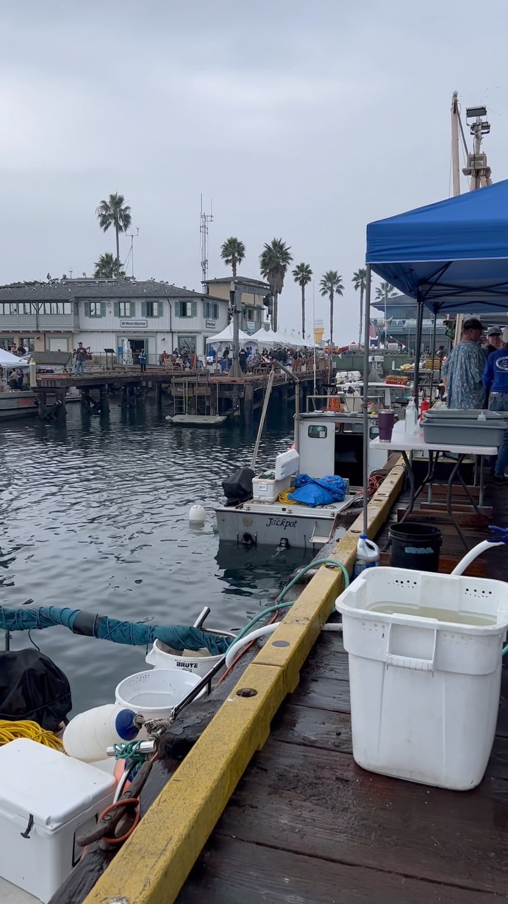 A little recap of last week’s trip to the pop up fisherman’s market in Santa Barbara!
Need a private sushi chef???
My name is @julianparks_ and I specialize in providing an Omakase (Chef’s Choice) experience throughout Southern California!
I mainly work around my own interpretation of traditional Japanese sushi with a slight hint of Parisian & Peruvian inspired flavors!
Follow me @asurfersushichef?
My website will be up and running soon. Stay tuned!?
Available for small private parties hosted in Santa Barbara, Ventura, and Los Angeles County!
**(4 Person Minimum)
**Within the next few months, I’ll also be able to work down in San Diego and Orange County for the holiday season!?☃️
Please DM me for menu inquiries or any other questions!
#asurfersushichef #sushi #sashimi #maki #omakase #sushicatering #sushichef #freshfish #privateomakase #santabarbaraharbor #fishmarket #sustainableseafood