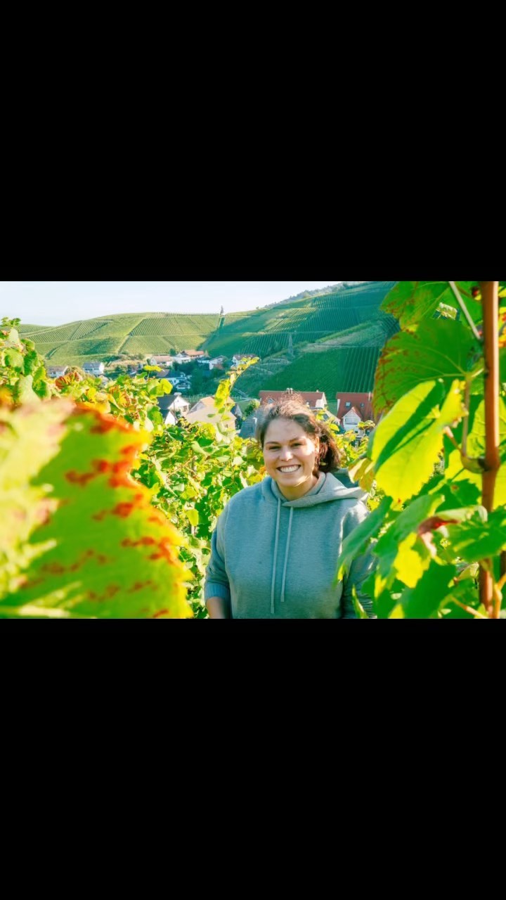 ? 1 TAG CHALLENGE - UNSER TEAM ?
Hi ?? ich bin Vivien die Gründerin von HERZWERK Wein! Heute stelle ich euch das HERZWERK Team vor. Das Team besteht hauptsächlich aus mir und meiner Familie und Freunde, die alle fleißig mithelfen! Natürlich ist immer eine Flasche HERZWERK Wein dabei ?
#herzwerk #weinkunstliebe #wein #spätburgunder #ortenau #schwarzwald #deutscherwein #baden #offenburg #liebe #kunst #rotwein #rosé #blancdenoirs #challenge #meetthewinery #meetthewinery23