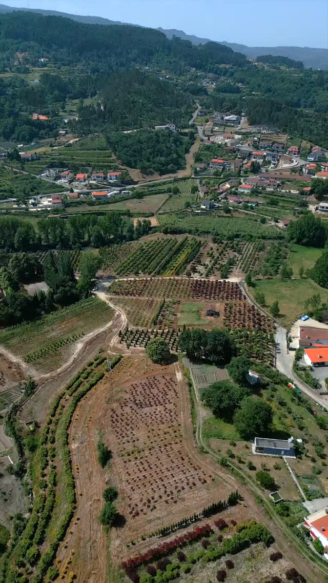 🌿Nesta primavera, o nosso viveiro de arbustos e multi-troncos está simplesment…