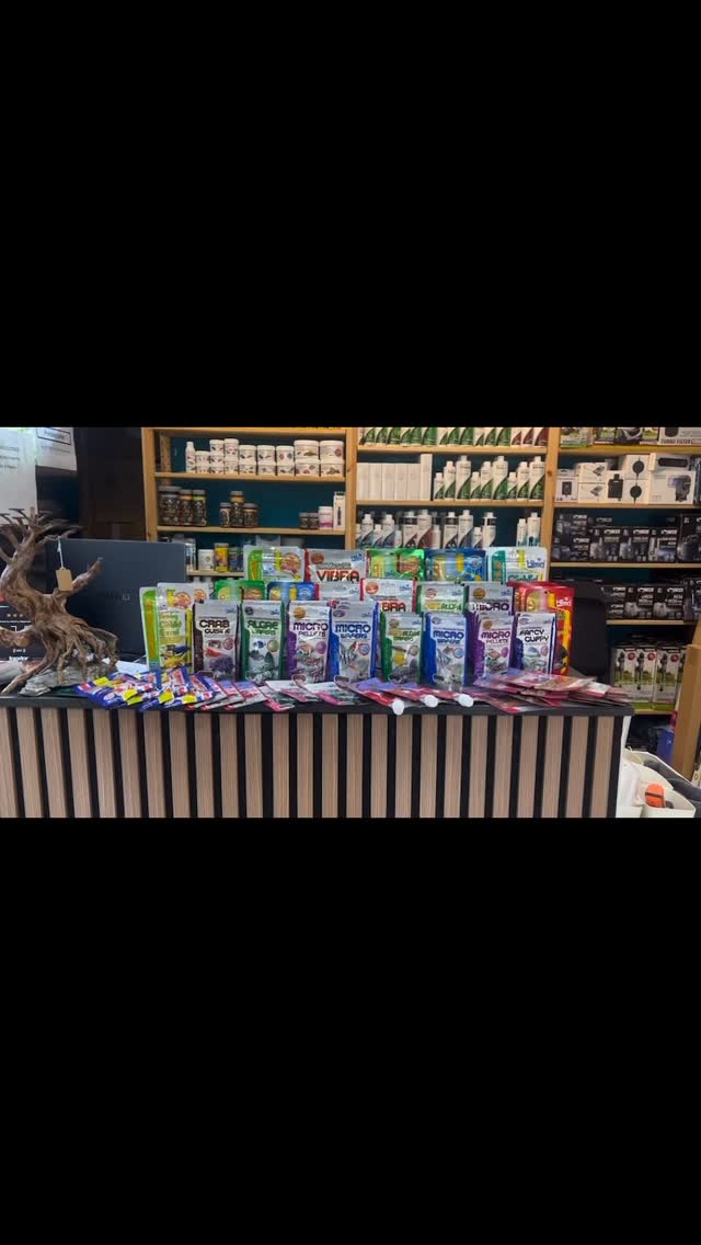 ?Hikari?
alimento de gama premium⭐️⭐️
Con los mejores ingredientes ??
Procedente de Japón ??
El samurai de la alimentación ?
Con más de 140 años de dedicación ?
A qué esperas para probarlo? Disponible en Aquasalvaje. ?
〰️〰️〰️〰️〰️〰️〰️〰️
?Plaza Ondarreta 1, Alcorcón.
〰️〰️〰️〰️〰️〰️〰️〰️
?️ www.aquasalvaje.com
〰️〰️〰️〰️〰️〰️〰️〰️
#aquasalvaje #madrid #alcorcon #aquarium #aquascape #aquascaping #aquariumdesign #acuarioplantado #aquariumhobby #aquascaper #hikari