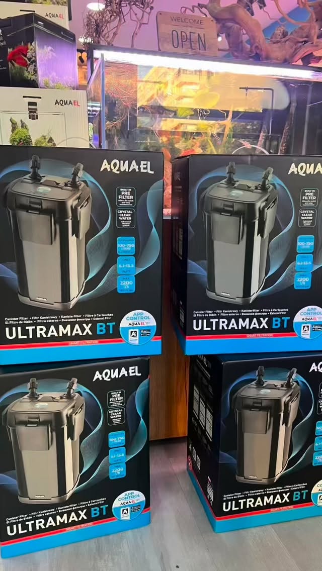 ?✨ ¡EXCLUSIVA EN ESPAÑA! ✨?
En Aquasalvaje somos los primeros en traer el NUEVO Ultramax BT ??
El filtro más avanzado de Aquael, ahora con conectividad inteligente ??
✔ Disponible en nuestra tienda física en Alcorcón
✔ Y también en nuestra tienda online ?
? No te quedes sin el tuyo.
? Más info en nuestra web: www.aquasalvaje.com
#UltramaxBT #Aquasalvaje #Aquael #Acuarios #FiltrosExternos #Acuarismo #Acuariofilia #Peces #Aquascaping #AcuarioPlantado #FiltroUltramax #PecesTropicales #AcuarioMarino #AcuarioAguaDulce #AcuarioDePeces #AmantesDeLosPeces #AcuariosEspaña #AquascapingSpain #HobbyAcuariofilia #AcuariosOnline #FishLovers #AquariumLife #AquariumHobby