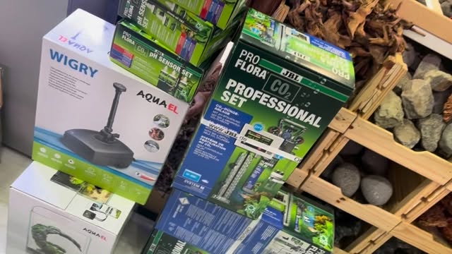 ?? Dale vida a tu acuario plantado con los Kits de CO₂ JBL ?
Un sistema completo para que tus plantas crezcan fuertes, verdes y llenas de salud ?✨
? Montaje sencillo ?
? Difusión eficiente ?
? Resultados visibles en pocos días ??
? Disponibles en Aquasalvaje – Tienda física en Alcorcón y online ??
#CO2 #JBL #Acuarios #Aquascaping #Aquasalvaje #AquariumLovers #Plantados #Acuariofilia #AcuarioNatural #FishLovers #aquascape