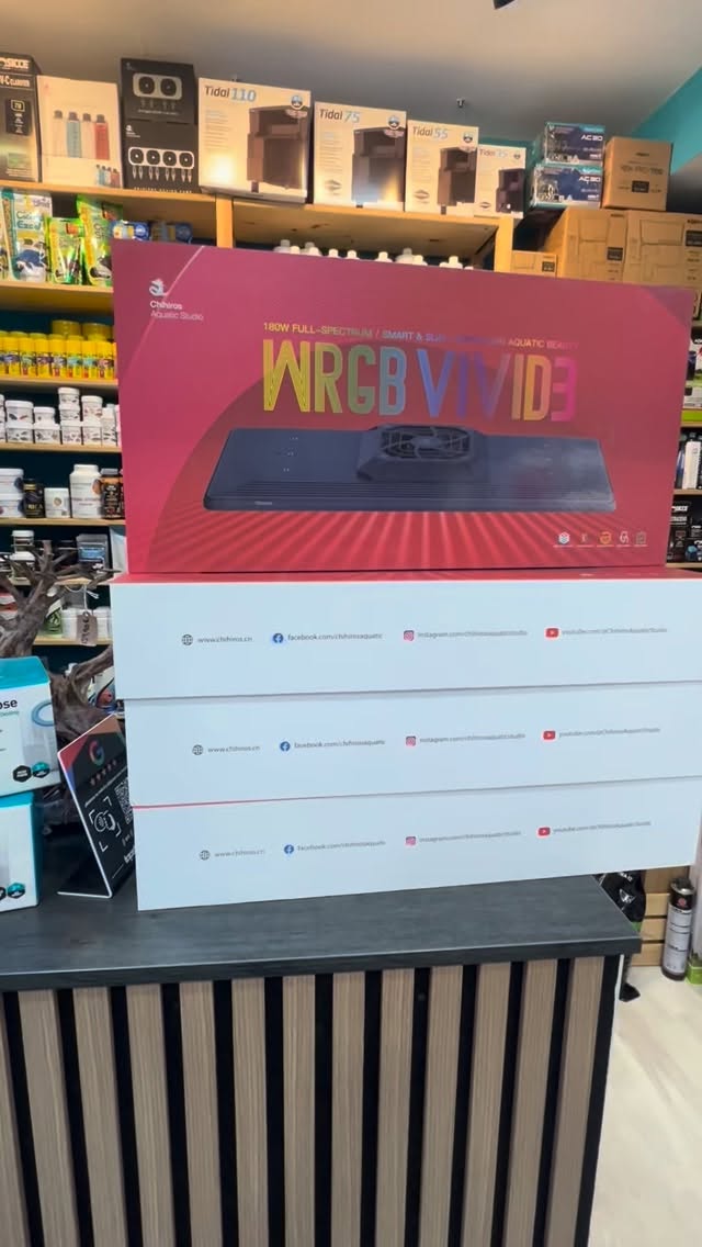 Ya quedan muy pocas horas para que comience los mayores descuentos del año!
?BLACK FRIDAY?
A partir del día 26 hasta el 29, única oportunidad de comprar con grandes descuentos de verdad! ?#aquasalvaje #aquascaping #madrid #aquascape #alcorcon #aquarium #acuarioplantado #aquariumhobby #aquariumdesign #aquascaper #blackfriday