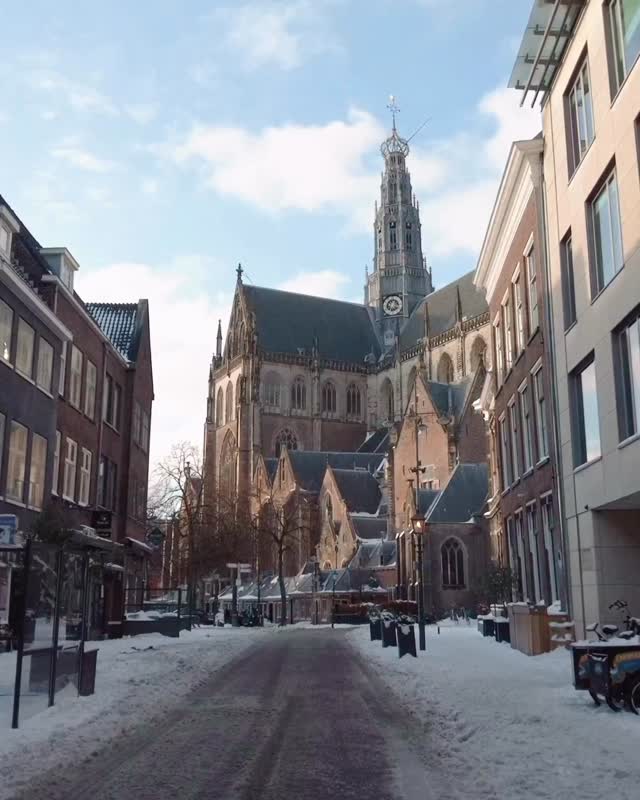 ? January starts cold, but full of cozy moments and unforgettable events near The Florian. A fresh new year, the right foot forward, and plenty of reasons to head out — or warm up after. ❄️✨
? 10/01 – André Rieu’s New Year’s Concert (Ziggo Dome)
Start 2026 in a festive way with an uplifting classical concert full of joy, tradition, and celebration.
? 17/01 – National Tulip Day (Museumplein)
Brighten up winter by picking your own tulips and celebrating the official start of tulip season.
? 22–25/01 – Jumping Amsterdam (RAI Amsterdam)
World-class show jumping and dressage come together in one of the most prestigious equestrian events of the year.
? 22/01 – Halsey: Back to Badlands (AFAS Live)
An energetic night with powerful vocals and emotional hits — perfect for a January boost.
? 30/01 – Shiny Happy People – R.E.M. Tribute (Poppodium C-punt)
A nostalgic rock tribute to close the month on a high note.
⛸️ All month – Ice Skating at Museumplein
Classic winter fun in the heart of the city, surrounded by iconic views.
Cold days, great events — January near The Florian is all about balance.
Which one is on your list? ✨
#JanuaryNearTheFlorian #WinterEvents #AmsterdamHighlights #Hoofddorp #ThingsToDoNearby