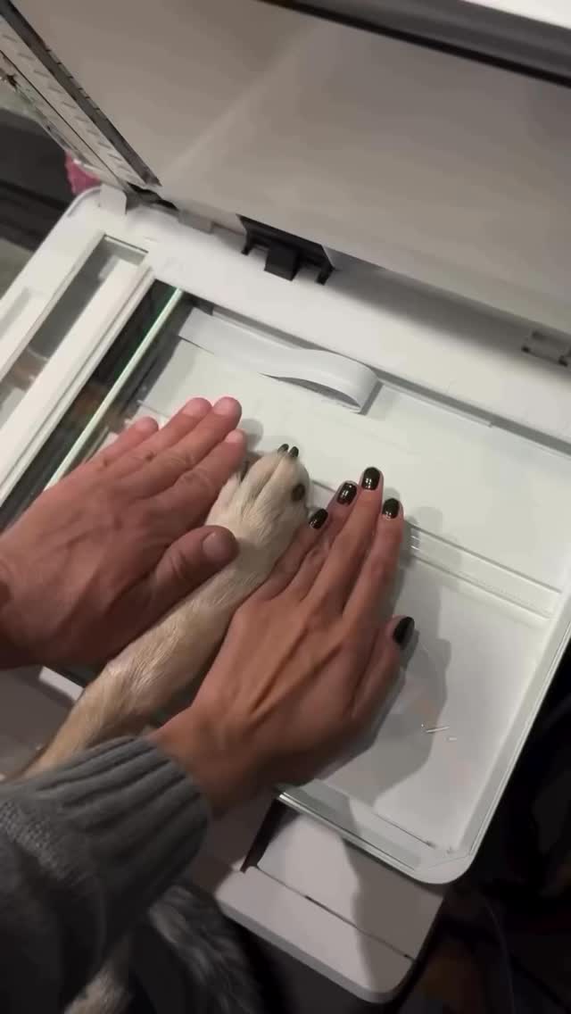 ?✨❤️
Créditos @ugc.sarasantiagoh