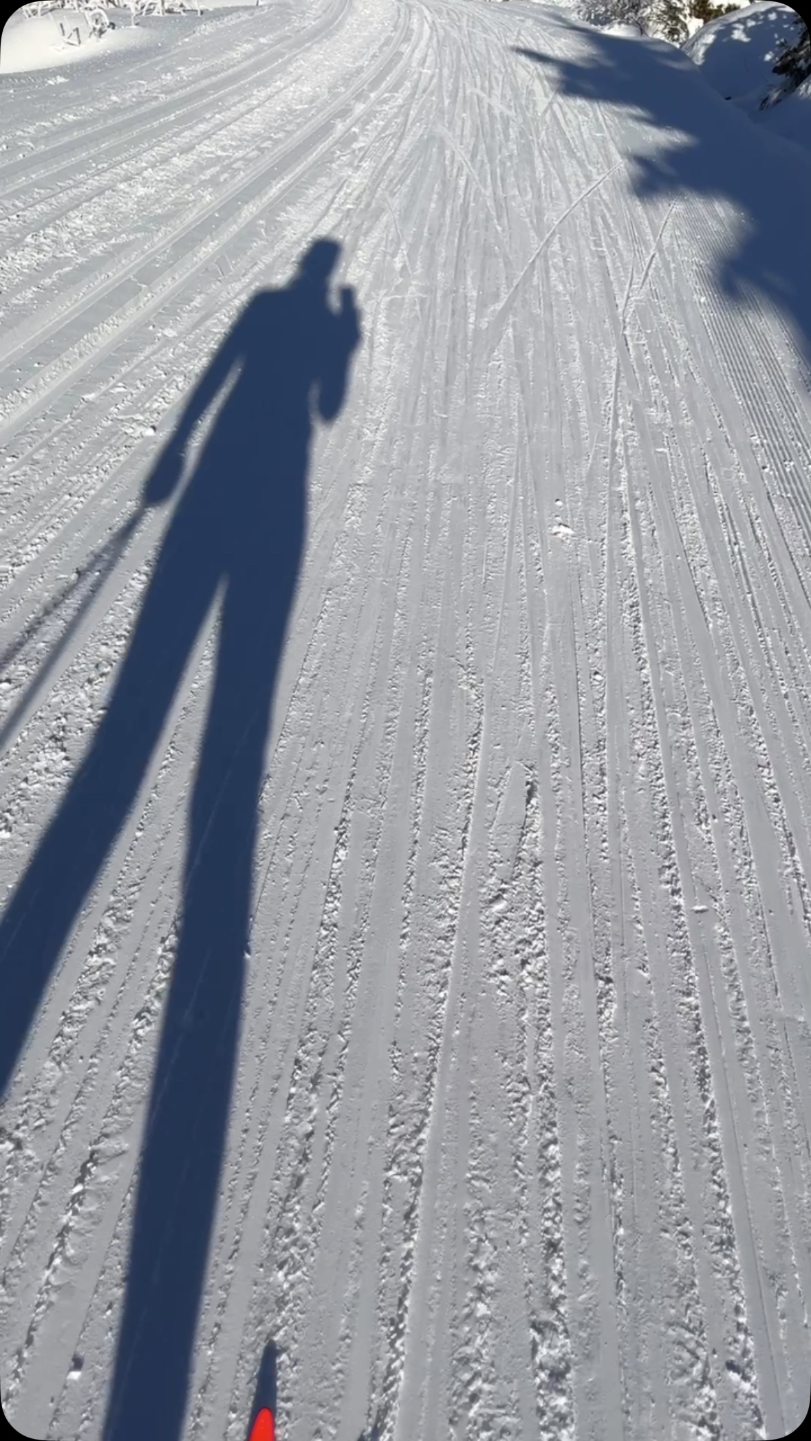 Lust auf ein Langlauf-Camp im Bayerischen Wald???