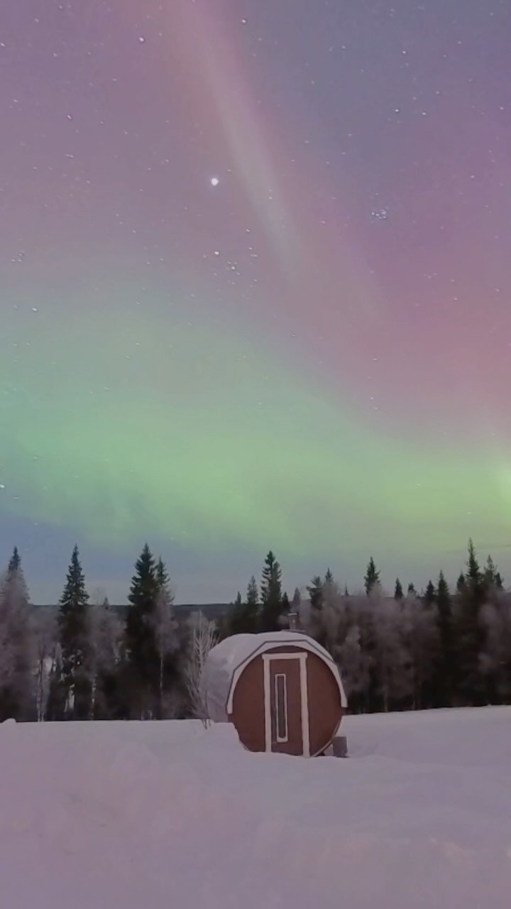 Under the Arctic skies in Lapland ✨🌲
📍Storberg Fjällgård
#NorthernLights #Lapland #WinterAdventures #AuroraBorealis #PolarLight #Nordlicht #Sweden