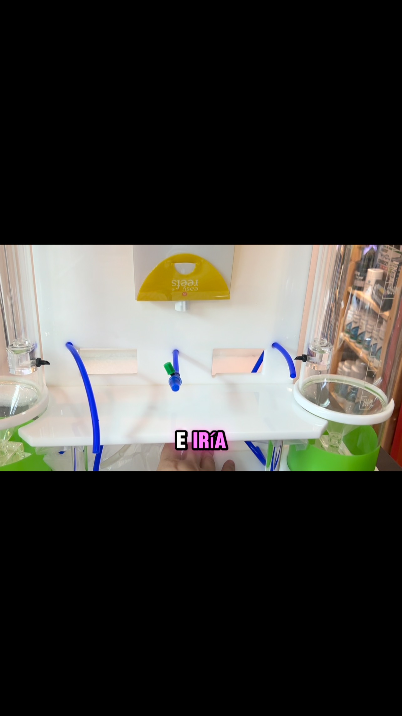 ‼️ Segunda Parte‼️
Vídeo completo en nuestro canal de YouTube.
Os mostramos un Reactor para alimento vivo, Easy Reactor 4 litros de @easyreefs distribuido por @blueclownfish .
〰️〰️〰️〰️〰️〰️〰️
Easyractor 4L es un reactor bicilíndrico de forma troncocónica, diseñado específicamente para el cultivo semiautomático de rotífero o artemia a través de las bombas dosificadoras Easyfeeder, y una mezcla diferenciada, según la aplicación a las que se destine, de distintas especies de fitoplancton.
〰️〰️〰️〰️〰️〰️〰️
✅ Trabajando duro cada día para ser vuestra mejor opción
〰️〰️〰️〰️〰️〰️〰️
?Plaza La Constitución 3, Alcorcón
〰️〰️〰️〰️〰️〰️〰️
? www.aquasalvaje.com
〰️〰️〰️〰️〰️〰️〰️
@theaquariumproject_ @aruedasaiz @blueclownfish @easyreefs
〰️〰️〰️〰️〰️〰️〰️
#aquasalvaje #aquarium #madrid #alcorcon #aquascaping #aquascape #aquariumdesign #acuarioplantado #aquariumhobby #aquascaper #reef #reeftank #reefaquarium #reefaddict #reefbuilders #reeftanks #reeflife #reefing #phyto #phytonutrients #saltwater #saltwateraquarium #acuariodulce #acuariomarino #acuariomarinoespaña #aguasalada #acuariofilia #acuariofiliaespaña #acuariofiliamadrid #acuariofiliamarina