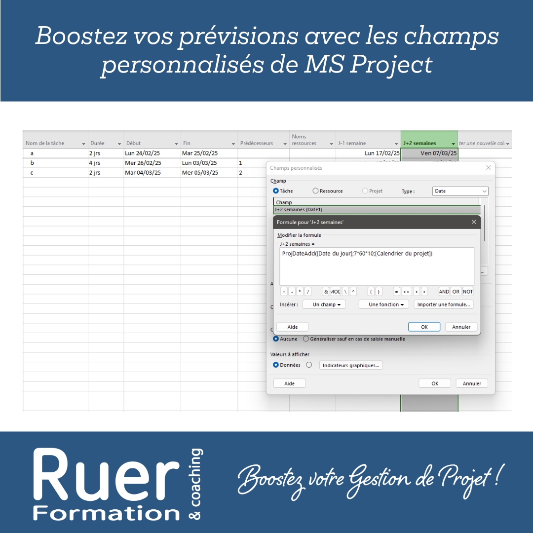 Boostez vos prévisions avec les champs personnalisés de MS Project 👇🔧 Les champs personn....