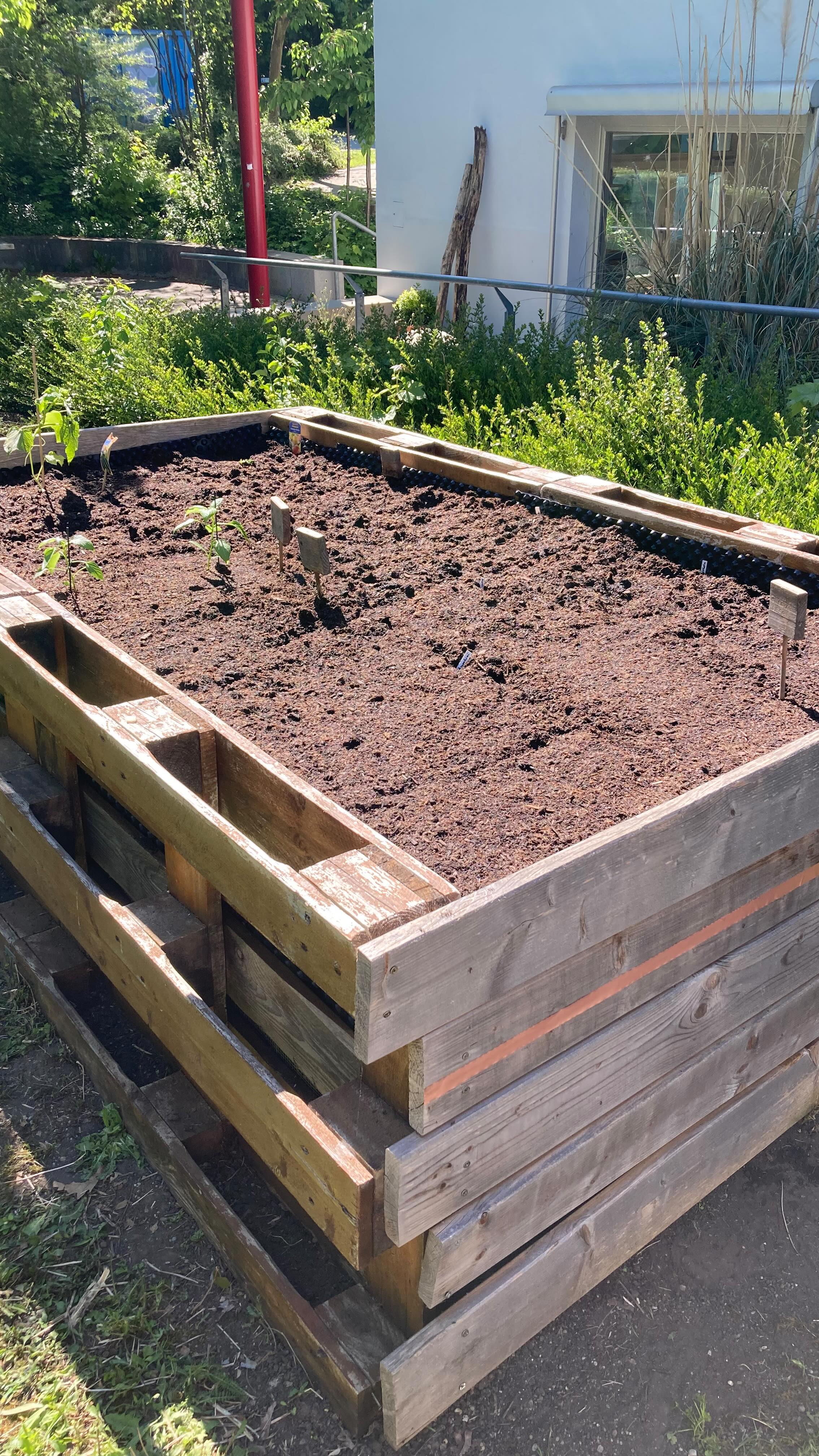 Unser Hochbeet 2025 ???️??☀️
#frühling #hochbeet #gartenliebe #eigenesgemüse #schaumamalwaswird #offenekinderundjugendarbeit #unterschleißheim