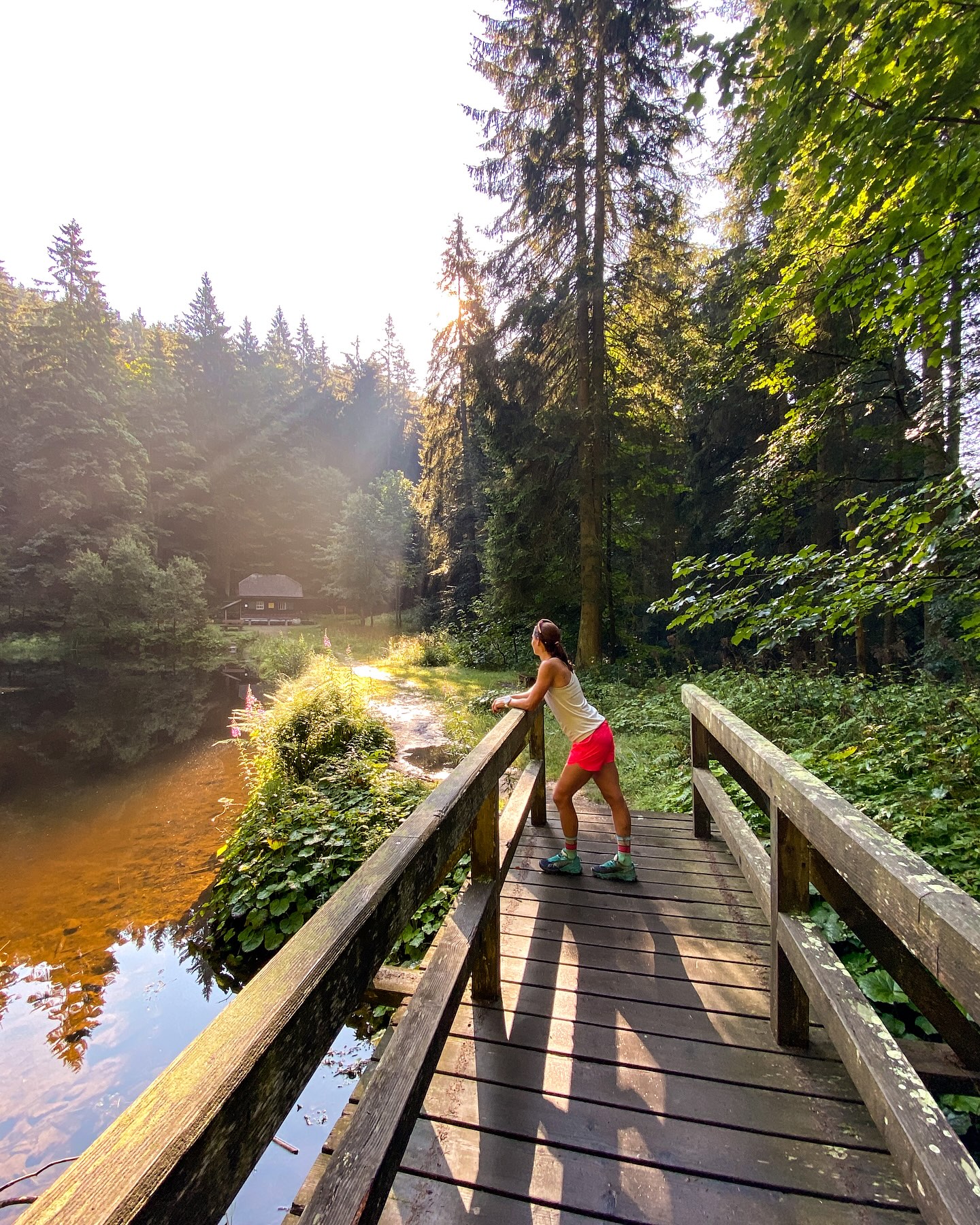 Unser Wander- & Bike-Tipp 
GROSSER FALKENSTEIN 🌲 Tourentipp: Perfekt für den Ruhetag!
Start: Zwieseler Waldhaus
Über den Adamsteig 🥾 auf den Kleinen Falkenstein 🏞️, dann weiter auf den Großen Falkenstein mit Einkehr im Schutzhaus Falkenstein – sensationelle Küche & mega Kuchen 🍰
📍 Rückweg über das grüne Dreieck ↙️ auf die Weideflächen des Ruckowitzschachten.
🔥 Für alle, die’s knackiger mögen:
Die „steinreiche“ Variante über das Höllbachgespreng 🪨 – ca. 700 Höhenmeter, 15 km pure Natur-Power!
#Falkenstein #BayerischerWald #GlashotelZwiesel #Ruhetagstour #WandernImWoid #SchutzhausFalkenstein #Bergtour #Adamsteig #Ruckowitzschachten #Höllbachgespreng #Woidliebe #Bergliebe
@GlashotelZwiesel @NationalparkBayerischerWald @schutzhausfalkenstein @ferienregion_nationalpark @goldsteig_wandern @auszeitinbayern @zwiesel.de @bayerischerwald.nationalpark @urlaub.in.bayern @bayerischerwald @arberland