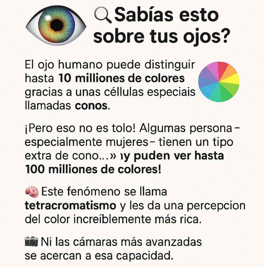 ??️ ¿Sabías esto sobre tus ojos?
⠀⠀⠀⠀⠀
El ojo humano puede distinguir hasta 10 millones de colores ? gracias a unas células especiales llamadas conos.
⠀⠀⠀⠀⠀
¡Pero eso no es todo!
Algunas personas —especialmente mujeres— tienen un tipo extra de cono…
? ¡y pueden ver hasta 100 millones de colores!
⠀⠀⠀⠀⠀
? Este fenómeno se llama tetracromatismo y les da una percepción del color increíblemente más rica.
⠀⠀⠀⠀⠀
? Ni las cámaras más avanzadas se acercan a esa capacidad.
⠀⠀⠀⠀⠀
? ¡Los ojos humanos siguen siendo una maravilla de la naturaleza!
⠀⠀⠀⠀⠀
#Óptica #DatoCurioso #SaludVisual #CuidadoOcular #Tetracromatismo #ÓpticaModerna #VisiónHumana #CuriosidadesVisuales #EducaciónVisual