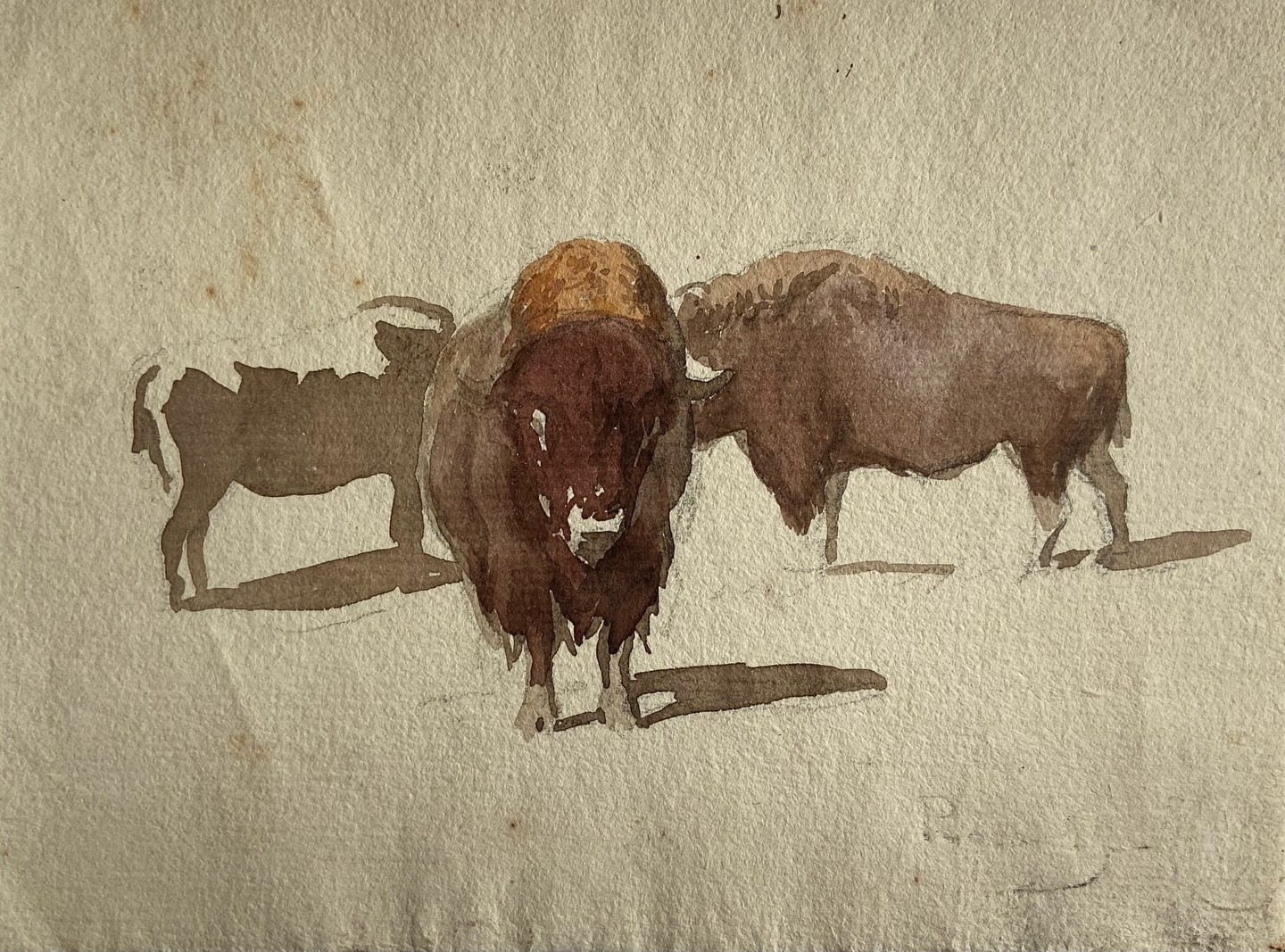 L’arrivée des beaux jours nous donne des idées !
Post du jour, des aquarelles et dessins réalisés en plein air par Rosa Bonheur. Toutes issues de la collection du château, ces œuvres nous apprennent beaucoup…
Tout d’abord de la virtuosité avec laquelle Rosa Bonheur anime les animaux par quelques coups de pinceaux et de crayon.
Ces pochades, travail de l’intime, nous fascinent aussi parce qu’ils sont la traduction de l’œil de Rosa Bonheur.
Nous parlons souvent du regard que l’artiste donne à ses animaux, et nous oublions de parler du sien !
Elle s’intéresse aux couleurs, formes, attitudes et mouvements de ses animaux. Ces carnets, petites feuilles de papier sont autant de prises de notes que de futures œuvres d’art…
Vous préférez laquelle ? Les bisons, les chèvres, les chevaux, fougères ou les bœufs écossais ?
#rosabonheur #chateaurosabonheur #artwork #etude