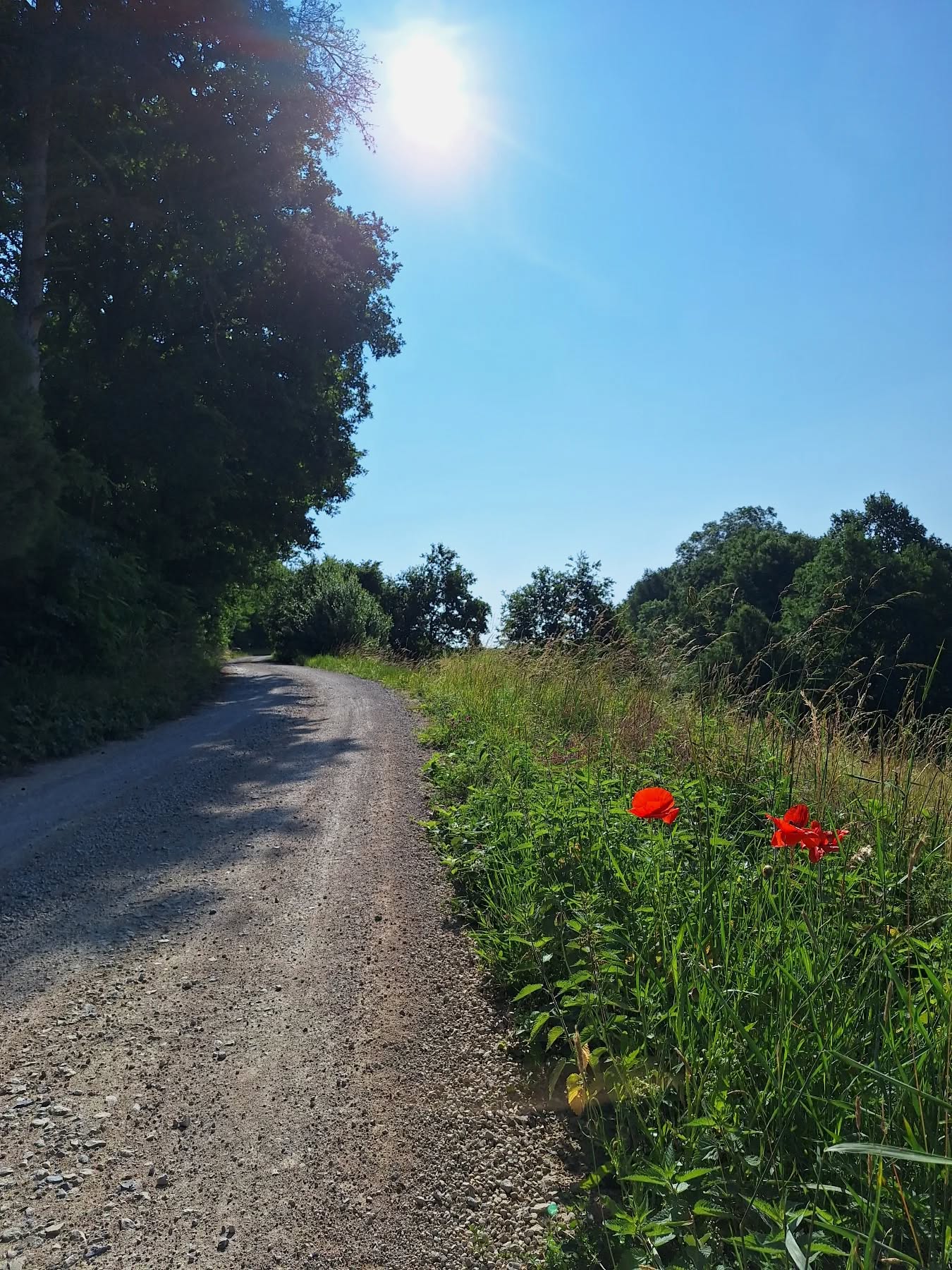 Sommer am Hutzelbuck ☀️
Urlaubsmodus @haushutzelbuck