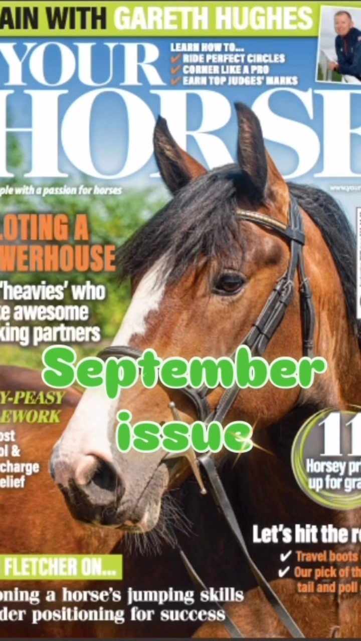 More great advice from Moorcroft's CEO, Mary Frances, in the latest issue of Your Horse Magazine where she discusses the benefits of long-reining, especially for those who are new to this form of groundwork technique. Lots of great tips and recommendations, including the best surface and tack to use...
#horselove #reiningtraining #horseriding #reininghorse #reiningmasterclass #horsemanship