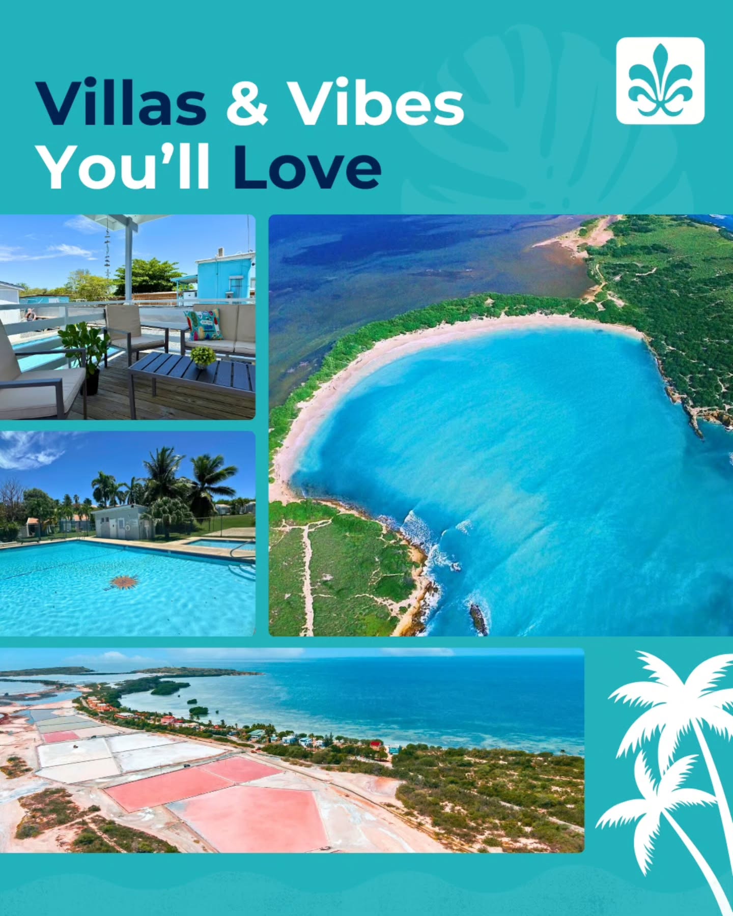 ✨ Cabo Rojo: Where Paradise Meets Comfort ✨
Discover Puerto Rico’s most vibrant corner — golden beaches, breathtaking sunsets, fresh seafood, and villas designed for pure relaxation. ?
? Tropical Beaches – Swim, relax, and enjoy turquoise waters.
? Villas With Style – Spacious, modern, and made for comfort.
? Local Flavor – From seafood kiosks to authentic Puerto Rican dishes.
Cabo Rojo is more than a destination — it’s an experience that stays with you forever. ?
? Book your villa today → www.luxuryrentalspr.com
#CaboRojoPR #LuxuryStayPR #IslandEscape #PuertoRicoVillas #TravelInStyle