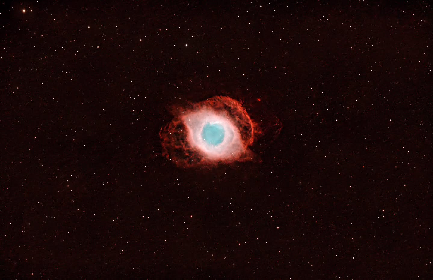 The Eye Of God - NGC 7923 with 15 hours exposure time.
www.astro-winkerling.de
#celestron #skywatchereq8rpro
#rasa11 #asi2600 at bortle 5 sky
#yourESA #nasa #astrofotografia #astrofotografie #astropicsdaily #winkerling #heinerweiss #astrofotografie #astrophotography #planetarynebula #heinerweiss_photography #heinerweissphotography #fuckelonmusk #skywatchereq8rpro #hutechidasnbz #backtonature #fightlightpollution #galacticnebula #CelestronRASA11 #zwoasi2600 #zwoasi #stopspacex #vhsschwandorf #astroregensburg #fotoclubregenstauf #passioneastrofotografia #apod