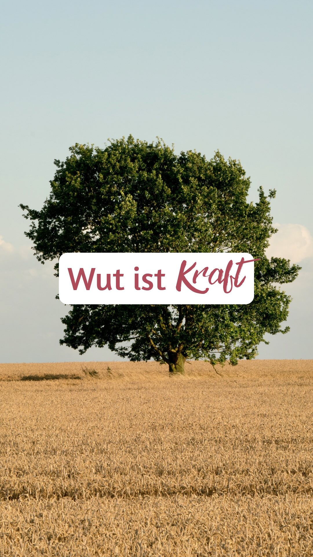 Wut ist eine Kraft, die viele von uns nie wirklich verstehen.
Uns wurde beigebracht, sie zu verbergen, zu zähmen, zu „benehmen“. Aber Wut ist nichts, wofür du dich schämen musst. Sie ist ein Signal.
Ein Ruf deiner Seele, der sagt: „Hier stimmt etwas nicht.“
Wenn du sie unterdrückst, staut sich Schmerz an.
Wenn du sie lebst, ohne Bewusstsein, verbrennst du dich selbst.
Doch wenn du lernst, sie bewusst zu lenken,
wird sie zu einer Energie, die dich schützt, klärt und trägt.
Wut ist Klarheit in Bewegung.
Sie zeigt dir deine Grenzen.
Sie erinnert dich daran, dass du zählst.
? Lerne, sie nicht zu fürchten – sondern zu führen.
Denn dort, wo deine Wut war, beginnt deine wahre Kraft.
? Folge mir, wenn du lernen willst, wie du deine Emotionen in pure Stärke verwandelst – ohne dich zu verlieren.
#innerekraft #wutistkraft #emotionaleheilung #authentizität #selbstliebe #energiearbeit #heilungsweg #bewusstsein #mutmacher #lebensfreude