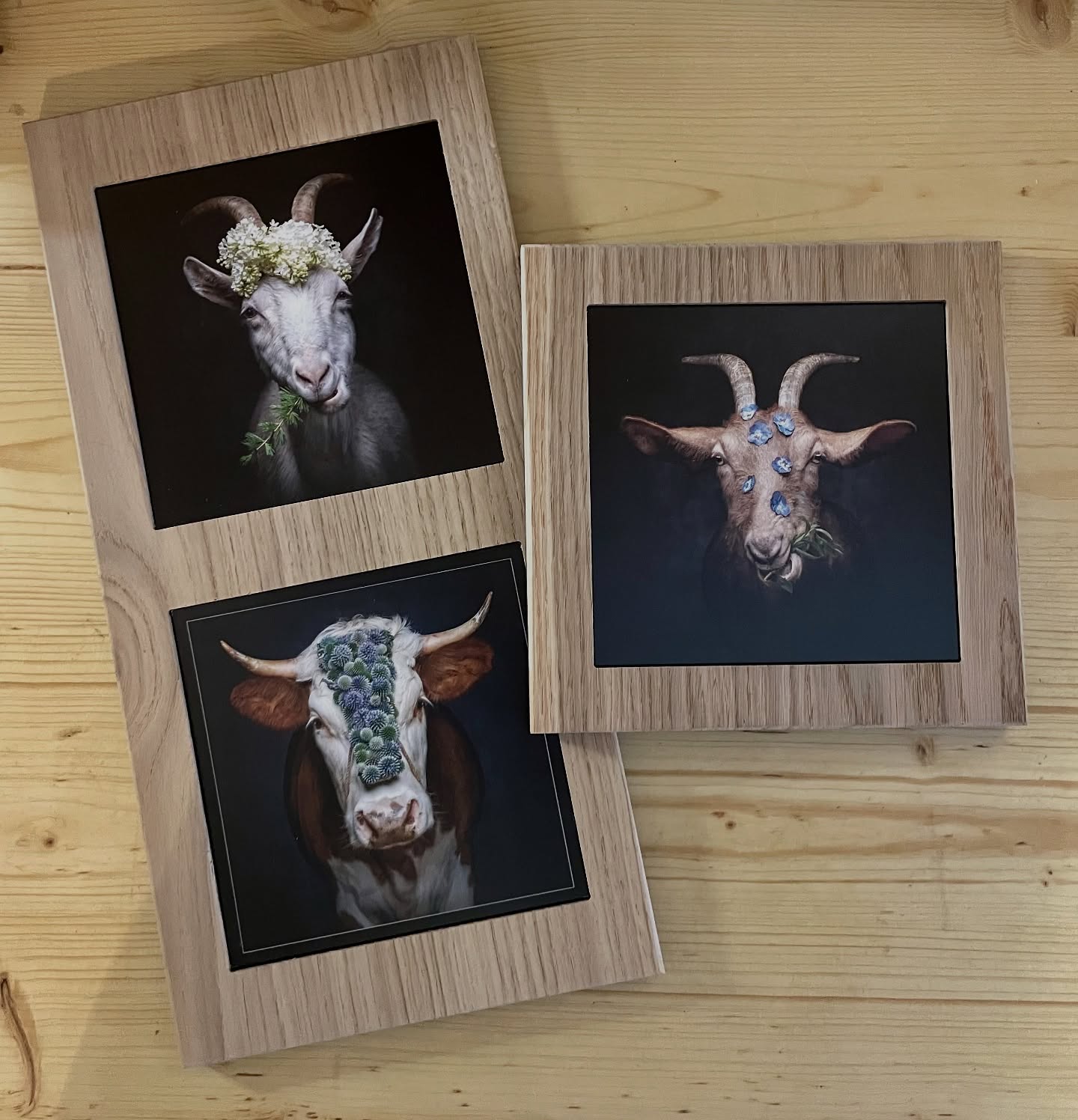 Wer durch unsere Vorratskammer stöbert, entdeckt nicht nur feine Lebensmittel, sondern auch kleine Dinge, die Freude machen – fürs Zuhause oder zum Verschenken.
Aktuell besonders schön: Postkartenmotive von Sebastian Werle im Eichenrahmen. 🌾
#vorratskammer #hochschwarzwald #regionalgenießen #schwarzwaldliebe #geschenkideen #dekoration #blackforestline #sebastianwerle #eichenrahmen #todtnauberg #hochschwarzwald #bergladentodtnauberg