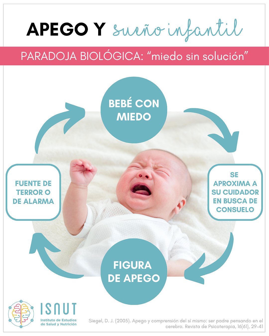 Cuando el cuidador se convierte en fuente de temor, el bebé puede experimentar un apego desorganizado, señalando posibles desafíos en las relaciones sociales y la regulación emocional.
En esencia, cuando esta figura de apego genera un estado de alerta en el niño, este se enfrenta a una “paradoja biológica”: su cerebro lo impulsa a buscar consuelo en su cuidador, aunque este mismo sea la fuente de la amenaza que busca aliviar. Main y Hesse lo describieron como un “miedo sin solución”.
La docente que trata al detalle este y otros temas en nuestro “Curso Universitario Especialización en Sueño pediátrico en la Práctica Clínica” es la Dra. Inés Di Bártolo @inesdibartolo , Psicóloga referente en apego con una amplia experiencia clínica.
? Todo esto y mucho más se aborda en nuestro completo Curso Universitario ESPECIALIZACIÓN EN SUEÑO PEDIÁTRICO EN LA PRÁCTICA CLÍNICA, título propio de la UEMC, 100% online, de 3 meses de duración y acreditado con 12 ECTS.
‼️Empezamos el 27 de octubre‼️
‼️Precio promocional (-200 €) solo hasta el 20 de octubre‼️
ℹ️ Más info en info@isnut.es, www.isnut.es y en el link de nuestra BIO.
#isnut #isnutformaciones #formacionesquenutren #formaciononline #sueñoinfantil #sueñoinfantilrespetuoso