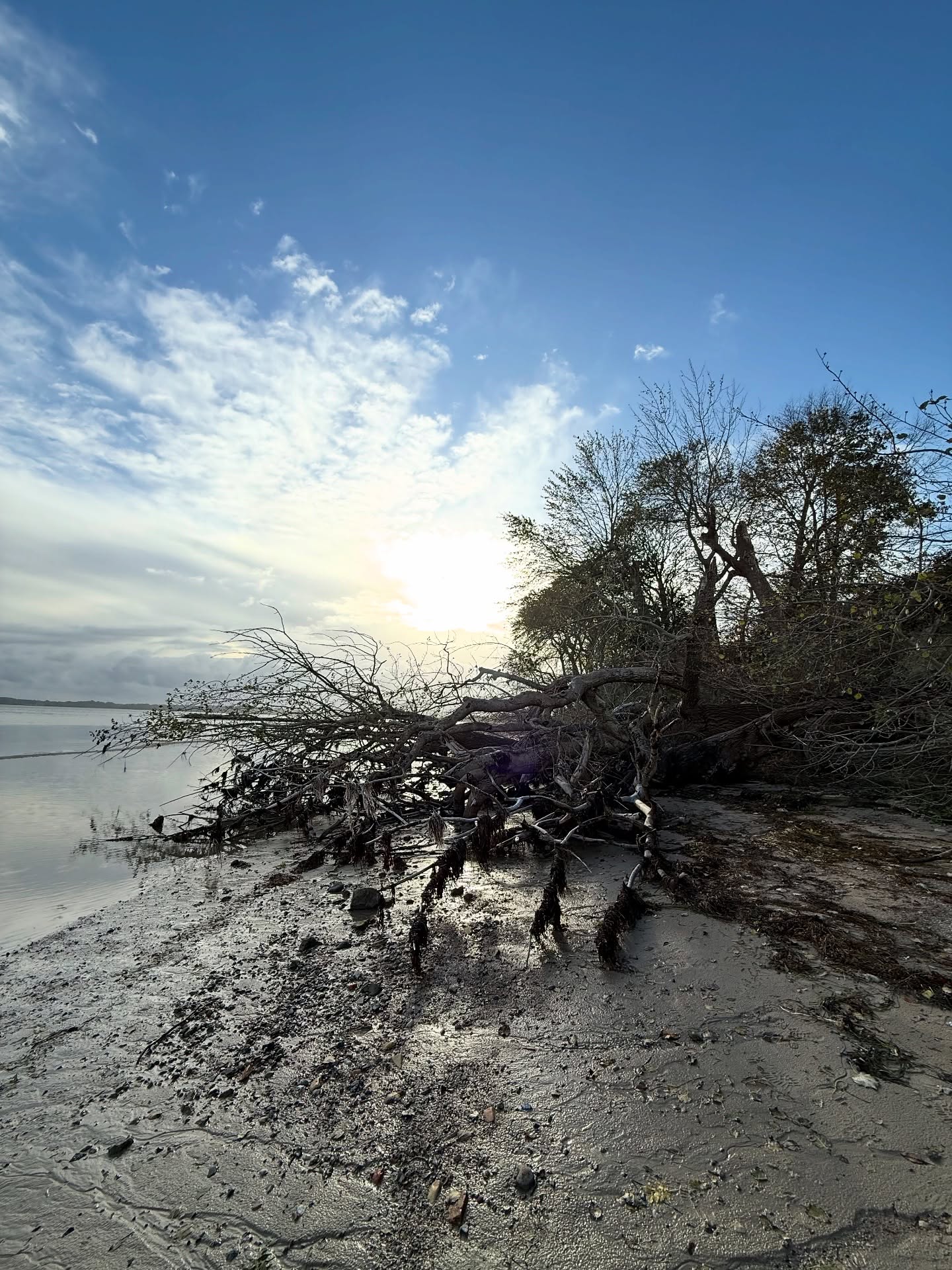 Ruhe nach dem Sturm…
#sunday #chillmood #wildeküste #wildcoast #exploremode #vanlife #weekendvibes #holnis #glücksburg #schleswigholsteìn #adventure #natur #thegreatoutdoors #bulldog #beachvibes