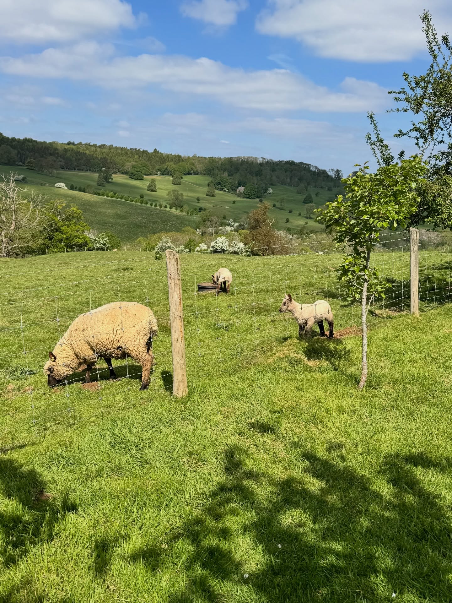 English Countryside, for me the most beautiful in the World ?
#cotswolds #snowshill #greatbritain #england