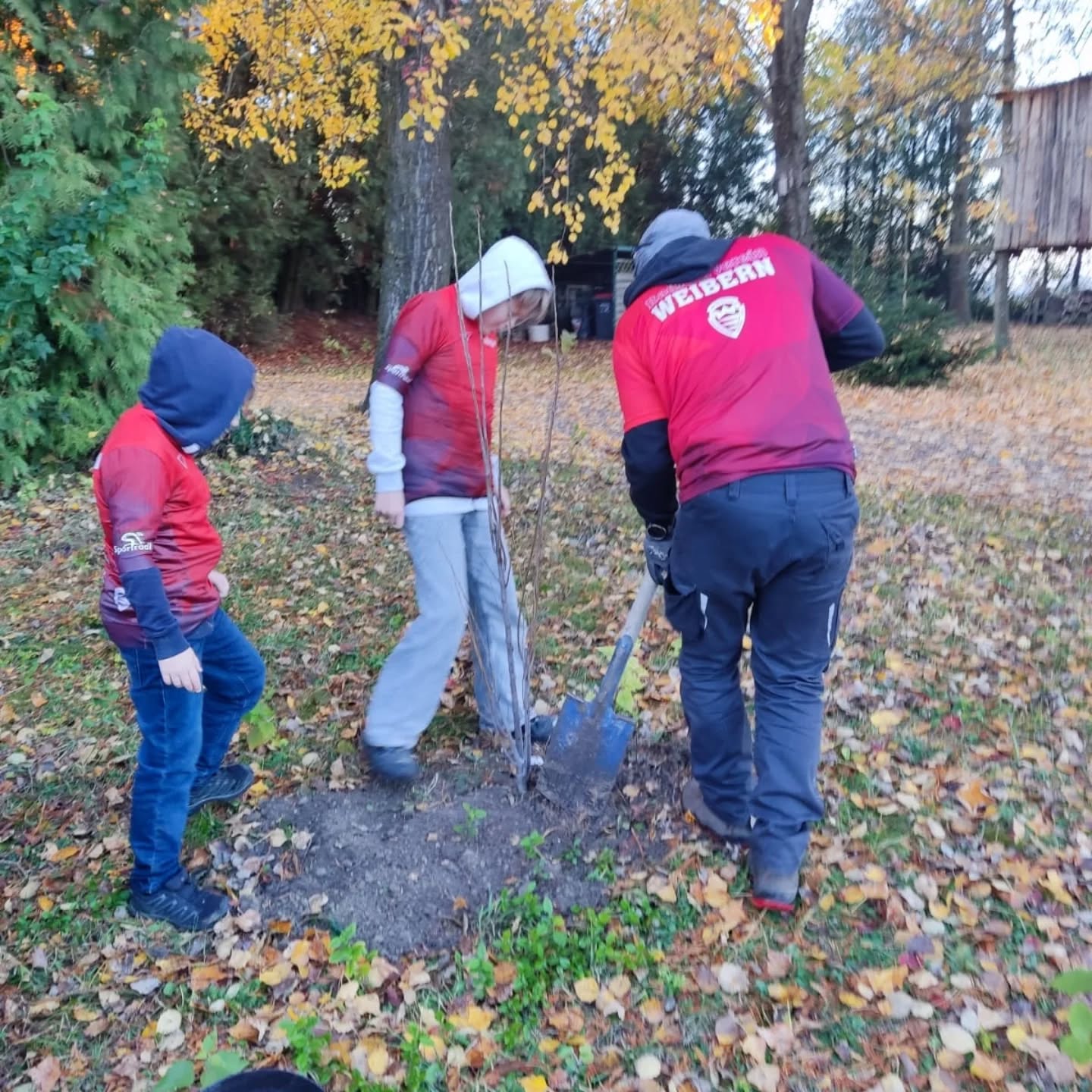 🌳 RFV Weibern macht mit bei der Baumpflanz-Challenge! 🌿
Danke an den @rcgrieskirchen für die Nominierung – Herausforderung angenommen! 💪
Gestern haben wir unseren Beitrag für eine grünere Zukunft geleistet und einen Baum gepflanzt. 🌱
Nach dem Motto „Radeln, Natur genießen und auch was zurückgeben“ steht diese Aktion ganz im Zeichen von Nachhaltigkeit und Gemeinschaft. 🚴♀️🌍
Wir geben den Staffelstab weiter an:
👉 @rc_lambach
👉 @rcovilavawels
Ihr seid dran – pflanzt einen Baum und zeigt, dass auch Sportvereine Verantwortung für unsere Umwelt übernehmen! 💚
#baumpflanzchallenge #nachhaltigkeit #umweltschutz #teamgeist #gemeinsamstark #radfahren #naturverbunden #bikecommunity