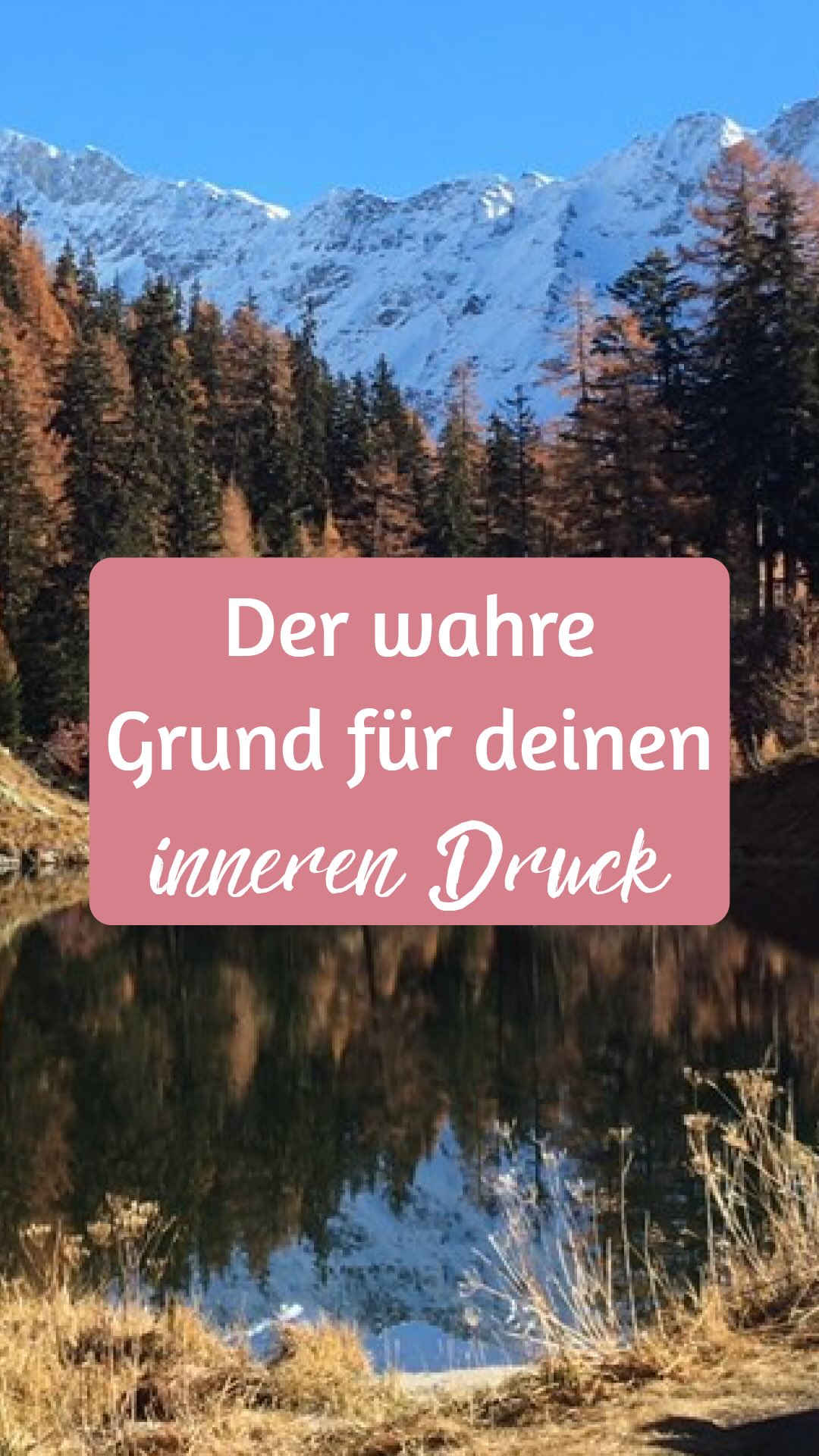 Viele Menschen glauben, dass es leichter wird, wenn sie ihren Ärger immer wieder erzählen.
Doch oft passiert das Gegenteil:
Es wird schwerer.
Lauter.
Drückender.
Nicht, weil du „zu sensibel“ bist, sondern weil dein Nervensystem jedes Mal die ganze Situation erneut durchlebt.
Jedes Erzählen
= neue Stresshormone.
= neuer innerer Druck.
= neue Spannung im Körper.
? Das Entlastende ist nicht das Reden selbst.
Es ist das in Worte fassen.
Und das kannst du tun, ohne dich erneut hineinzusteigern.
✨ Schreib es auf.
Pack den Ärger in klare Worte.
Und du wirst spüren:
Der Druck fällt ab, ohne dass du die Emotion noch einmal komplett durchleben musst.
So regulierst du dein System, statt es zu überfordern.
Und genau das ist der Punkt,an dem Heilung beginnt:
Wenn du aufhörst, das Feuer neu zu entfachen und stattdessen lernst, es sanft zu löschen.
Welche Situation würdest du heute lieber aufschreiben statt weitererzählen?
? Folge mir für weitere Impulse, die dir helfen, emotional freier und innerlich ruhiger zu werden.
#heilung #emotionaleintelligenz #innerekraft #selbstregulation #wutverstehen #birkenbihl #selbstliebe #bewusstsein #heilungsweg #traumabewältigung #starkefrauen