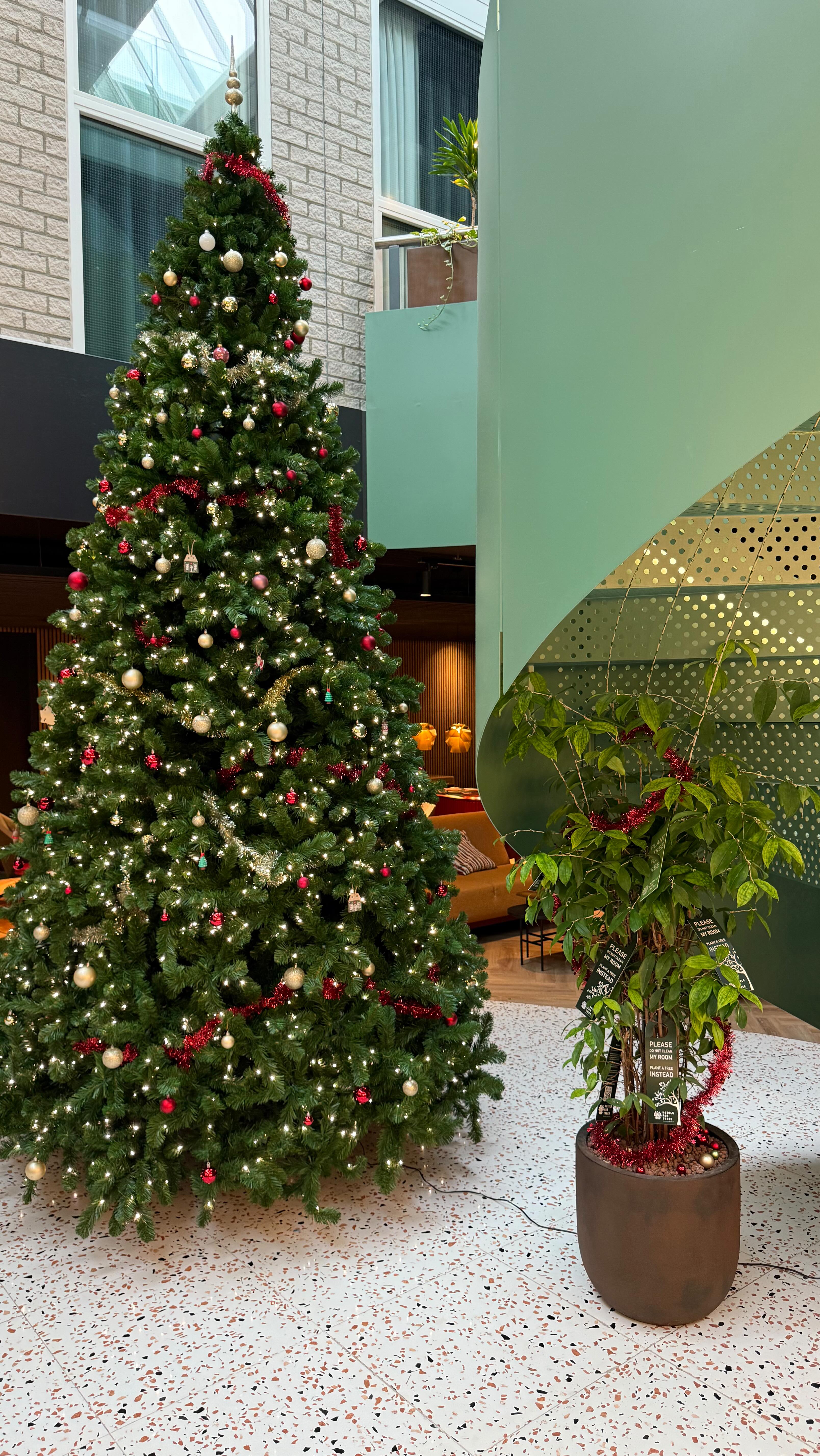 The Christmas tree at The Florian is officially up… and that means the holiday season has begun! ?✨
Our team brought a little magic to the lobby — and now it’s your turn to soak it all in.
Let’s celebrate, unwind, and enjoy that well-deserved rest. The most wonderful time of the year starts right here. ?✨
#TheFlorianHotel #FlorianMoments #HolidaySeason #ChristmasAtTheFlorian #FestiveVibes HotelLife Hoofddorp TimeLapseMagic TeamSpirit