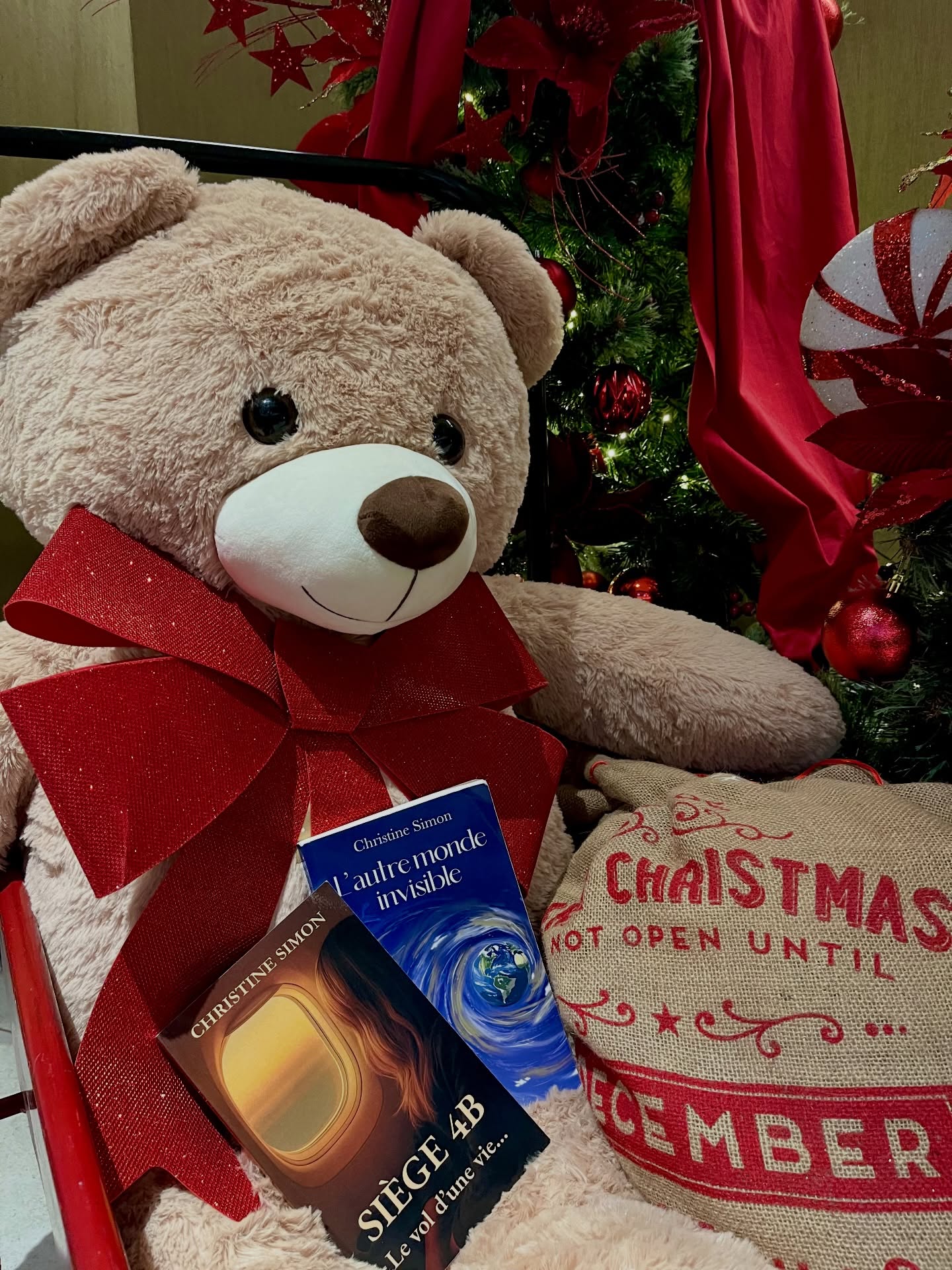 ? Et si cette année, vous offriez une histoire ?
Des livres à glisser sous le sapin pour des moments de lecture, de réflexion et d’évasion pendant les fêtes ✨
#cadeaudenoël #roman #autricebretonne #cosyvibes
? Dispo sur Amazon en livre broché & Ebook (lien en bio)