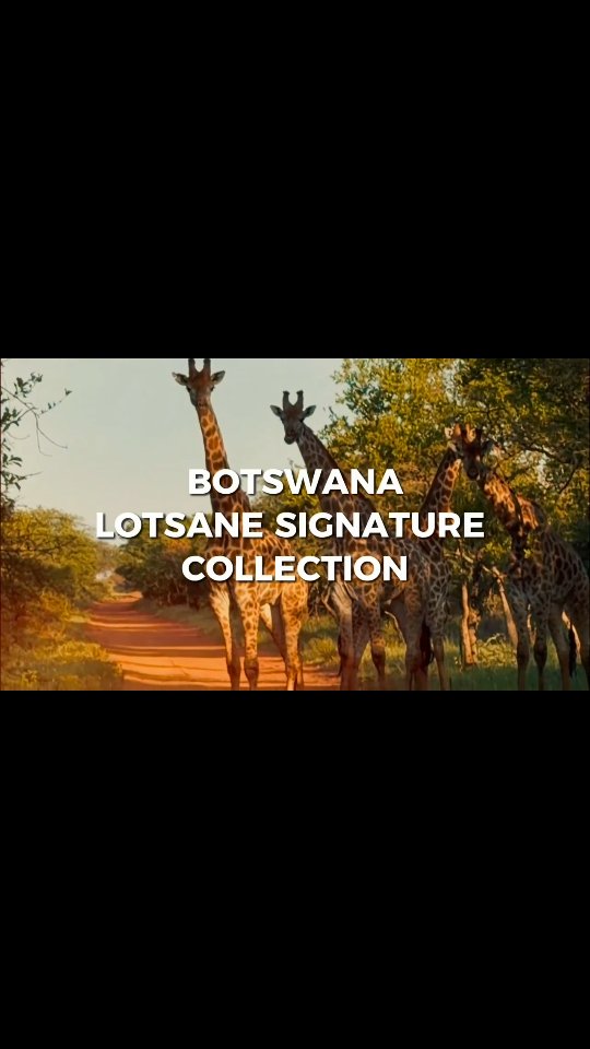 POV: You didn’t visit the wild…
You were quietly accepted by it. 🐾✨
This is a place where mornings begin with hoofprints in the sand,
afternoons drift by to birdsong and river light,
and nights unfold under galaxies you forgot existed.
No crowds.
No schedules yelling at you.
Just nature, luxury, and the rare privilege of being a guest in someone else’s home.
Welcome to Lotsane Signature Collection —
where the bush moves at its own rhythm, and somehow… so do you.
🎥 Turn the sound on.
💭 Let your nervous system exhale.
📍 Tuli Block, Botswana
Save this for when life gets loud.
Share it with the one who needs to disappear—with you.
—
#LotsaneSignatureCollection #TuliBlock #BotswanaLuxury #SafariDreaming #slowtravelmovement
