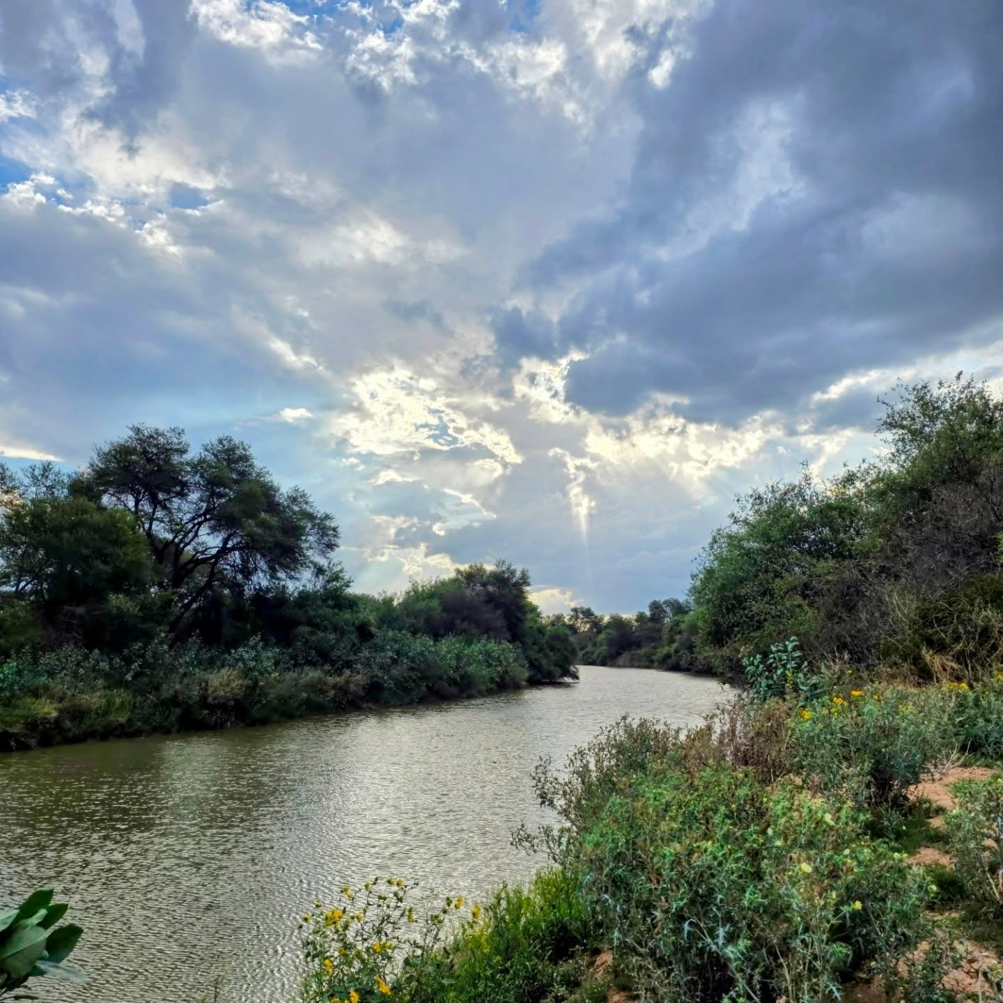 The sky doesn’t repeat itself.
Neither do experiences worth remembering.
At Lotsane, the clouds perform daily rituals—
storm theatre, light sermons, silver linings that move like choreography.
No filters. No edits.
Just Africa reminding us who’s really in charge up here.
You don’t watch this place.
You surrender to it.
☁️ Come for the wildlife.
🌿 Stay for the moments you didn’t know you were missing.
📍 Limpopo River | Botswana
✨ Nature’s most dramatic mood board
—
Save this for when you need perspective.
Share it with someone who belongs under big skies.
#BotswanaLuxury #AfricanSkies #CloudscapeLovers #NatureAsArt #luxurysafari