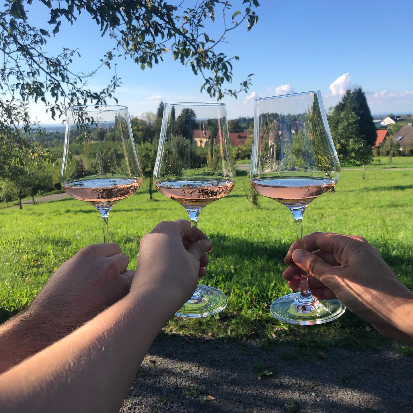 ? WEINLESE 2022 STARTET ?
Morgen starten wir mit der Weinlese 2022 am Südhang in Fessenbach. ?✂️ Darauf haben wir erst mal noch gemütlich angestoßen ?#herzwerk #weinkunstliebe #wein #spätburgunder #ortenau #schwarzwald #deutscherwein #baden #offenburg #liebe #kunst #rotwein #rosé #blancdenoirs #weinlese #2022