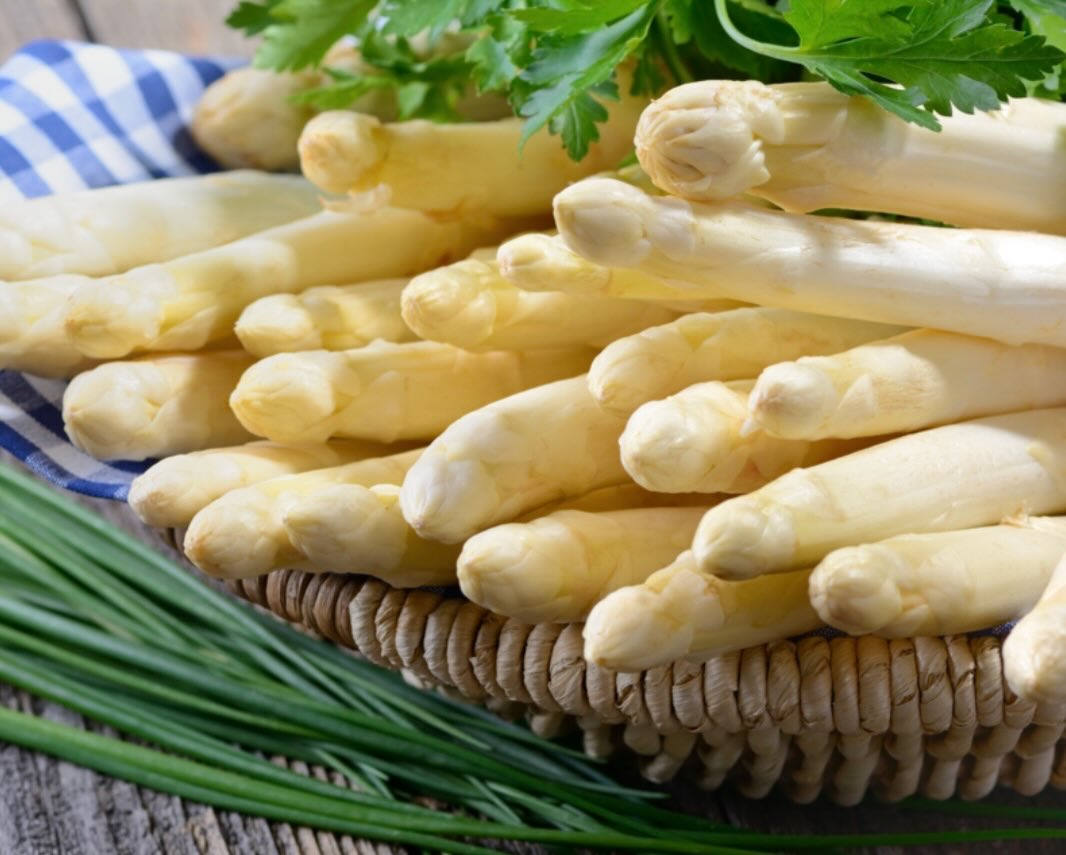 Früh gestochen, direkt auf den Teller: Spargel - Stangenweise Frühlingsglück ?????
Während viele noch warten, sind wir schon mittendrin: Auf dem Spargelhof Wickershain bei Leipzig wächst der Spargel dank der innovativen Feldheizung deutlich früher als andernorts. Ein echter Geheimtipp und die Chance, das „weiße Gold“ zu genießen, wenn es noch längst nicht überall zu haben ist! ⏰
In unserem Spargelkochkurs am 02. April holen wir genau diese frühen, regionalen Stangen in den Mittelpunkt und zeigen sie von ihrer spannendsten Seite: Überraschend kreativ als Chips, exotisch im Rote-Bete-Crépe, rustikal zum Kotelett oder doch lieber süß als Eis? Ob klassisch gedacht oder modern interpretiert – wir richten den Fokus dabei stets auf das Besondere des Edelgemüses! ????
Früh sein lohnt sich! Die Spargelsaison ist kurz – wer zu den Ersten gehören will, sollte jetzt in unseren Onlineshop schauen! ?
?? www.kochschule-sachsen.de
☎️ 037608 28481
✉️ verkauf@kochschule-sachsen.de
#kochschulesachsen #spargelzeit #früheernte #spargelliebe #spargelkochkurs