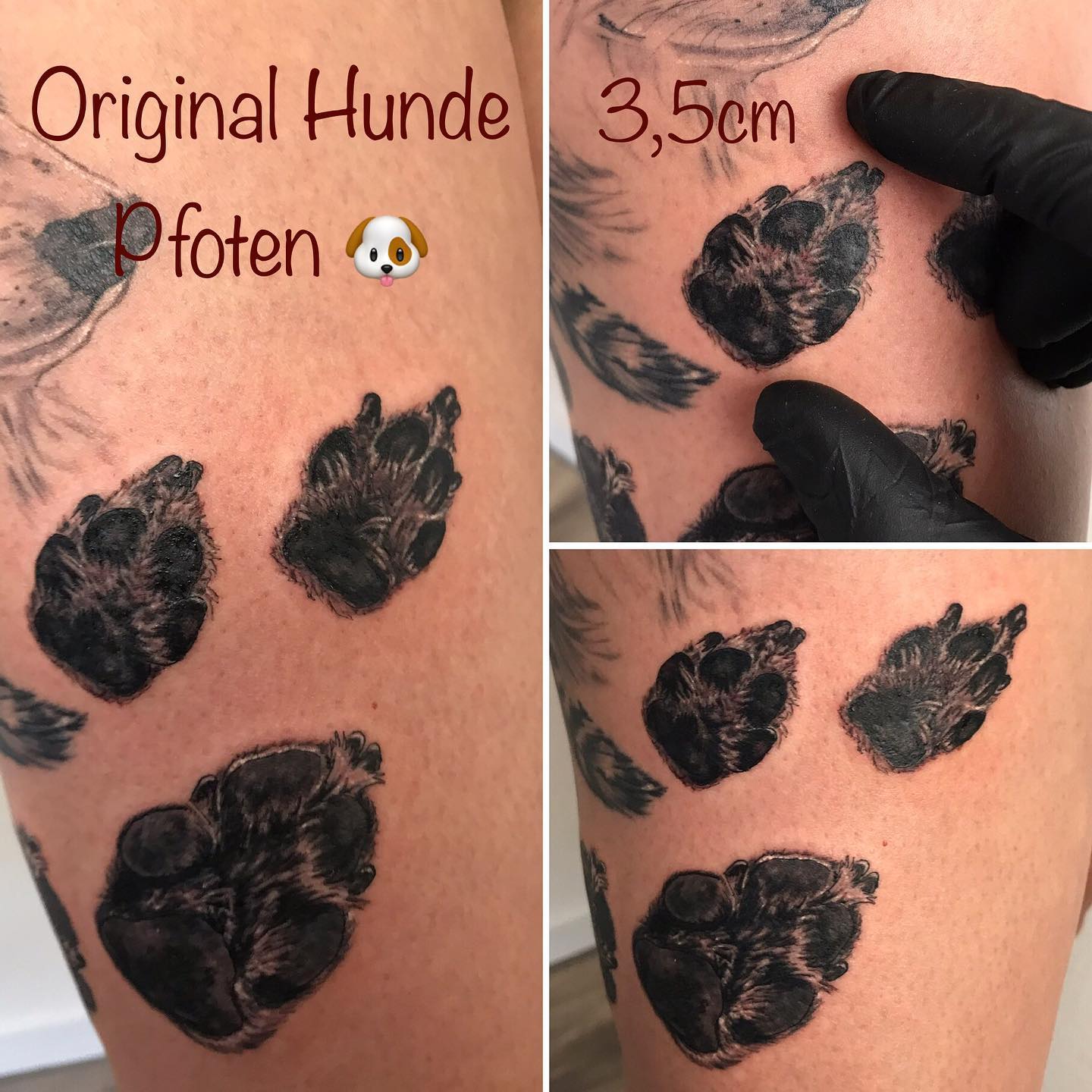 By âïžIsabel Sarconeâïž i #newcomer #tattooartistin #legtattoo #hundeliebe #hunde #hundepfote #hundepfotentattoo #hundefreunde #pfoten #chihuahua #chihuahualove #chihuahuasofinstagram #chihuahualife #chihuahuapfote #tattoos #tattoo #inked #ink #realistictattoo #realisticart #realistic #blackandgreytattoo #blackandgreytattoos #suissetattoo #tattoostudio #basel #liestal #suisse @tattoo__Industry Artistin Isabel Sarcone
Danke âșïž ?Alex