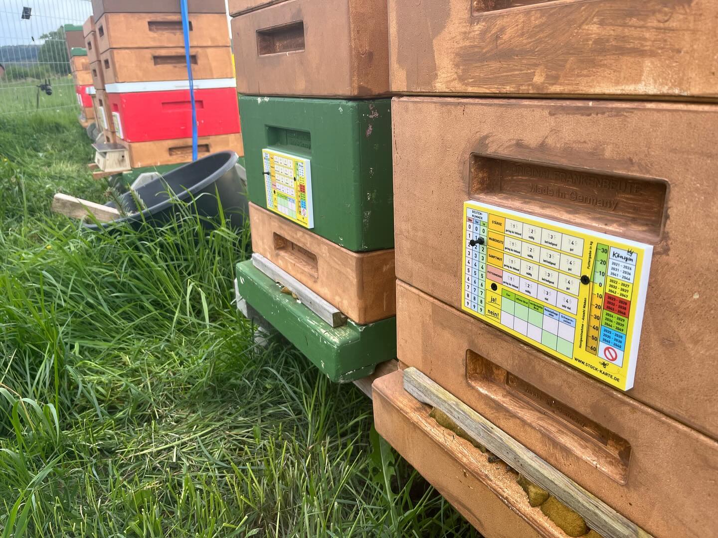Und schon sind die Stockkarten von @pin_stock_karte angebracht!
Jetzt muss noch das Wetter für eine Durchsicht mitspielen und dann schauen wir auch mal wie die App funktioniert!
#imkerhonig #instaimker #beekeepers #beekeepersoftheworld #beekeepersofinstagram #honig #regionalstattglobal