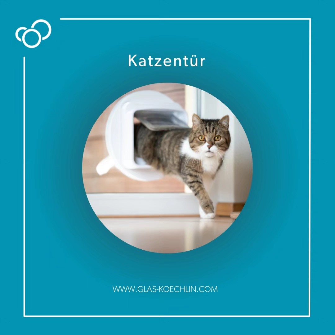 Welcher Katzenbesitzer kennt es nicht?
? Katze rein, Katze raus!
? Lehn dich zurück und genieße die neue Unabhängigkeit Deines Lieblings.
? Wir fertigen Isolierglas mit Ausschnitt für eine Katzenklappe in Balkonglas, Glastüren und Fensterglas.
Unsere Katzentüren sind manuelle und beidseitig schwingende Klappen.
#glasköchlin #glaskoechlin #flachglas #glas #fenster #katzentür #katzenklappe #katze #balkon #balkonglas #glastür #tür #fensterglas #fensterbauer #schreiner