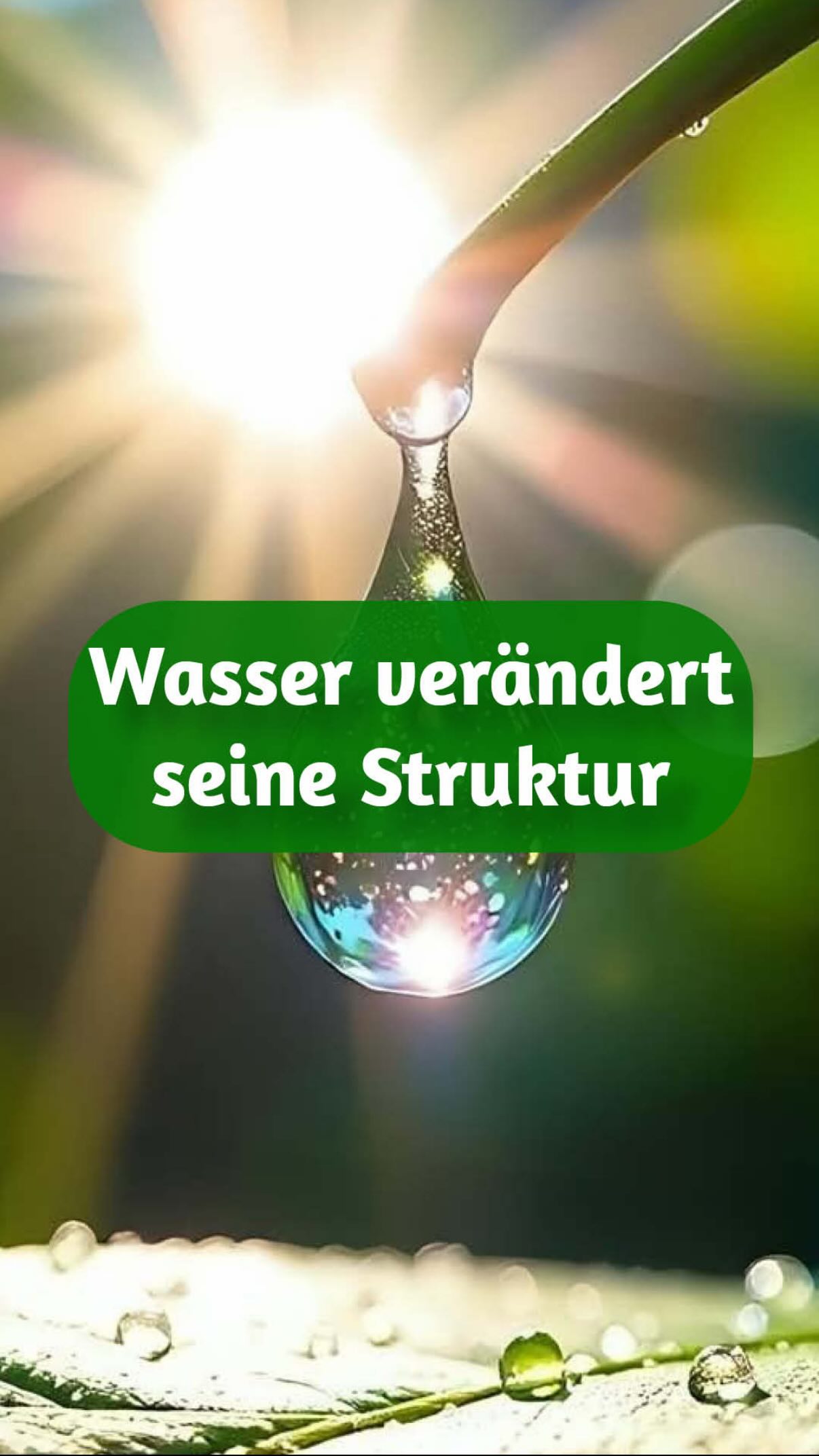 1️⃣ Ein Tropfen Wasser verändert seine Struktur, wenn er einer bestimmten Frequenz ausgesetzt wird.
Er reagiert. Er ordnet sich neu. Er findet zurück in Harmonie.
Der japanische Forscher Masaru Emoto machte sichtbar, was viele alte Kulturen schon wussten: Wasser speichert Information.
Worte, Gedanken, Musik – sie hinterlassen Spuren.
Und jetzt frage ich Dich etwas ganz ehrlich:
Du bestehst zu etwa 70 % aus Wasser.
Dein Blut. Deine Zellen. Dein gesamtes Gewebe.
Glaubst Du wirklich, dass Frequenz Dich nur „berührt“ –
ohne etwas in Dir zu bewegen?
2️⃣ Vielleicht kennst Du das:
Du betrittst einen Raum – und plötzlich fühlt er sich schwer an.
Oder leicht.
Du hörst bestimmte Worte – und etwas zieht sich in Dir zusammen.
Oder öffnet sich.
Manchmal steigen Emotionen auf, ohne dass es eine sichtbare Geschichte gibt.
Dein Körper reagiert, bevor Dein Verstand versteht.
Schwingung wirkt.
Still. Präzise. Tief.
3️⃣ Und genau darum geht es in meiner Arbeit.
Nicht um esoterische Fantasie. Sondern um bewusstes Arbeiten mit Energie.
Frequenz verstehen.
Schwingung gezielt einsetzen.
Heilung auf Zellebene ermöglichen –
für Dich. Und auch für Tiere, die besonders fein reagieren.
Wenn Du spüren möchtest,
wie kraftvoll energetische Heilmethoden wirklich sind
und was in Deinem System möglich wird,
dann sei live dabei in meinem kostenfreien Workshop.
? Kommentiere „Workshop“ und ich sende Dir alle Infos persönlich zu. ✨?