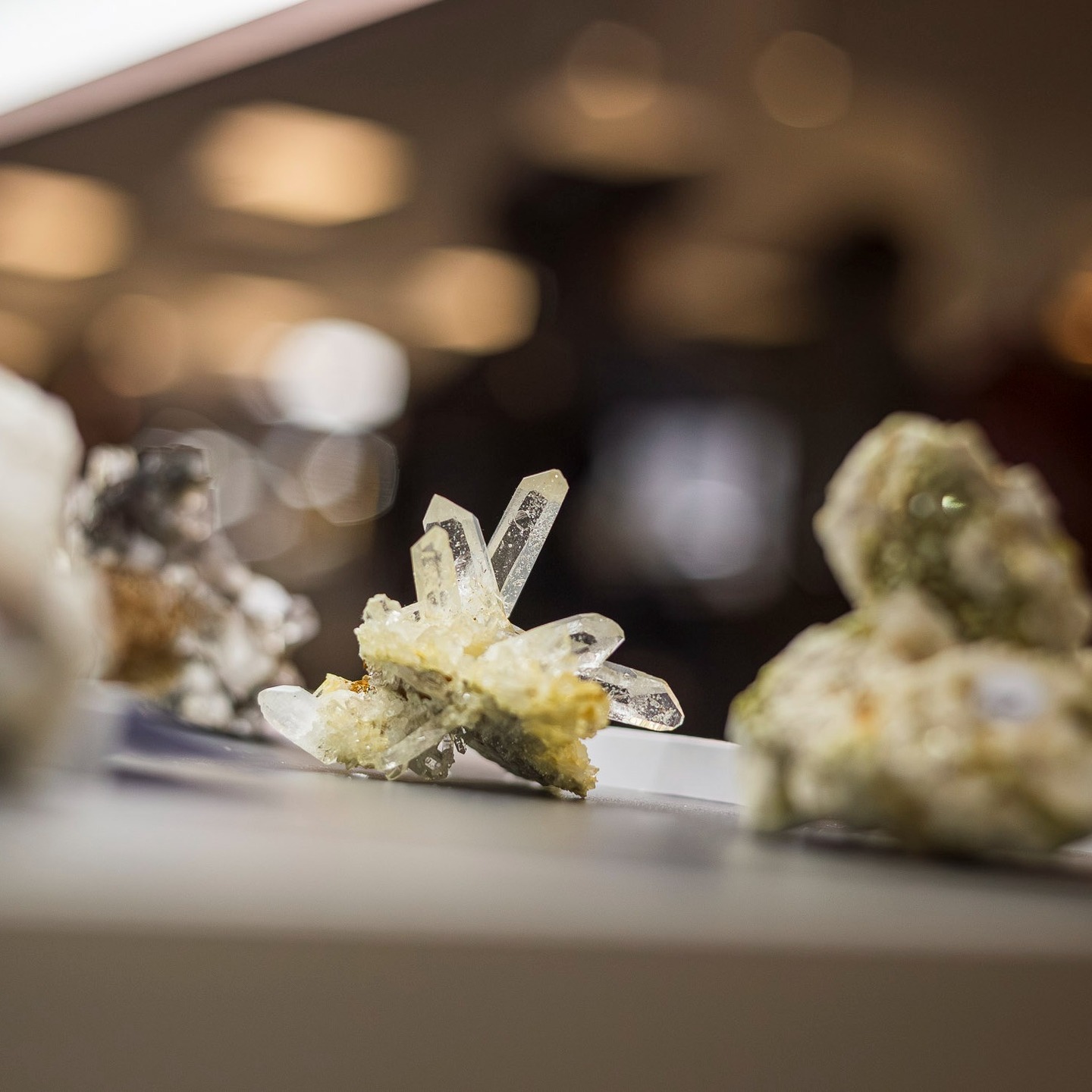 ✨ Danke für zwei funkelnde Tage! ✨
Die Edelsteintage Bremen am 14. + 15.02.2026 in der Messe Bremen haben dem Winter getrotzt – mit großartiger Stimmung, begeisterten Besucher:innen und leidenschaftlichen Aussteller:innen. 💎❄️
Danke an alle Gäste, Aussteller und das gesamte Team für dieses besondere Wochenende voller Glanz, Entdeckungen und schöner Begegnungen!
📅 Wiedersehen in Bremen: 20. + 21. Februar 2027
📍 Vorher sehen wir uns am 21. + 22. März 2026 im Hannover Congress Centrum
#Edelsteintage #Messe Bremen #EdelsteintageBremen #EdelsteintageHannover #HCC_Hannover #Edelsteine #Mineralien #Fossilien #Schmuck #Familienevent #Mineralienmesse #Danke 💖