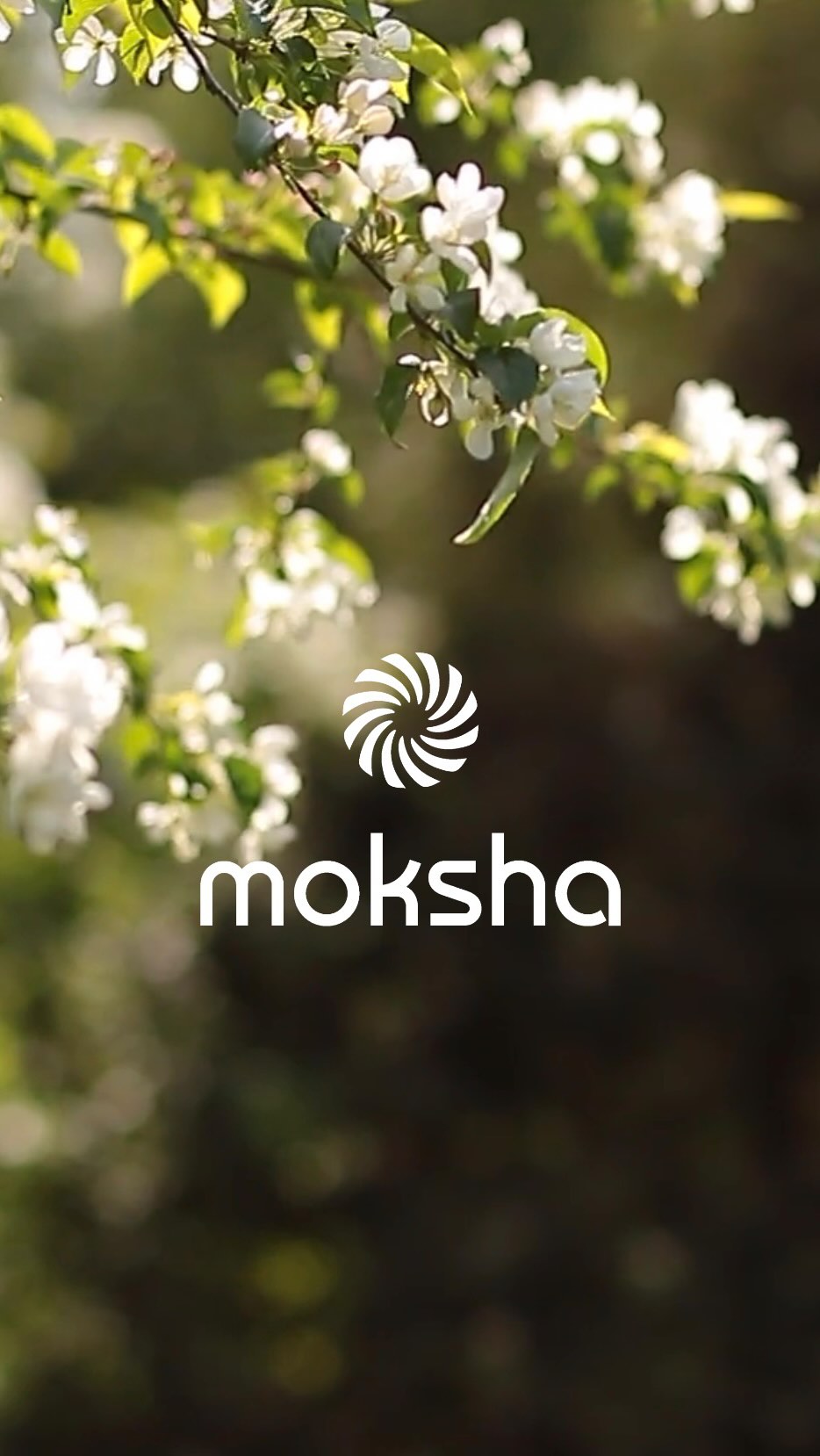 Spürst du den Wunsch nach mehr Verbindung?
Zu dir. Zu anderen. Zum Leben selbst. 💛
Bei Moksha Dresden findest du einen Raum zum Ankommen, Loslassen und Sein.
✨ Mehr Informationen im Link in Bio
#mokshadresden #körpergeistundseele #selbstheilung #selbstverbesserung #verbindung