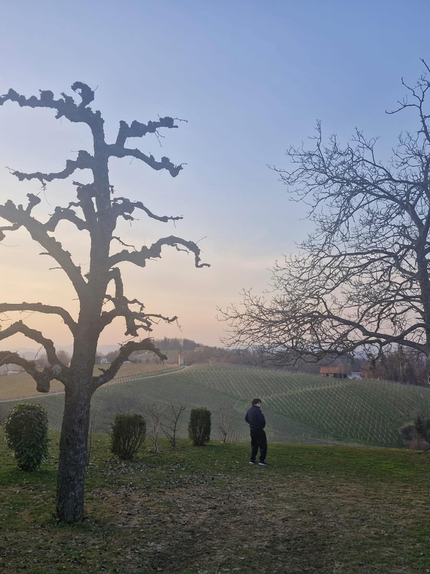 Экскурсия выходного дня. Посетили самую большую в Австрии выставку шоколада (проходила в выставочном центре Граца с 6 по 8 марта ), две винодельни в Южной Штирии, один погребок 😁 👌🏻