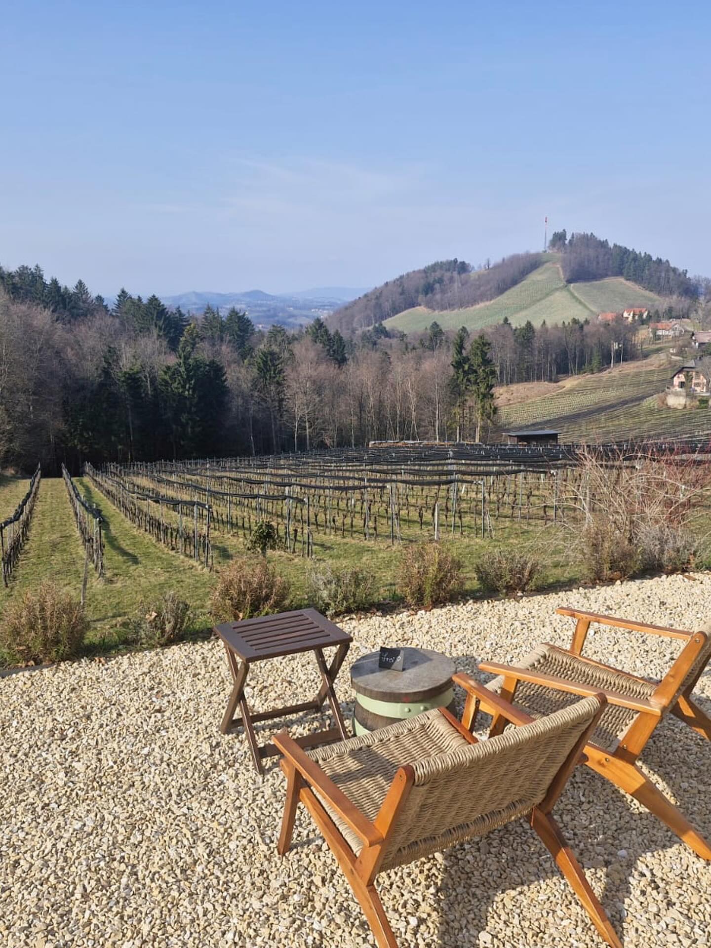 Экскурсия выходного дня. Посетили самую большую в Австрии выставку шоколада (проходила в выставочном центре Граца с 6 по 8 марта ), две винодельни в Южной Штирии, один погребок 😁 👌🏻