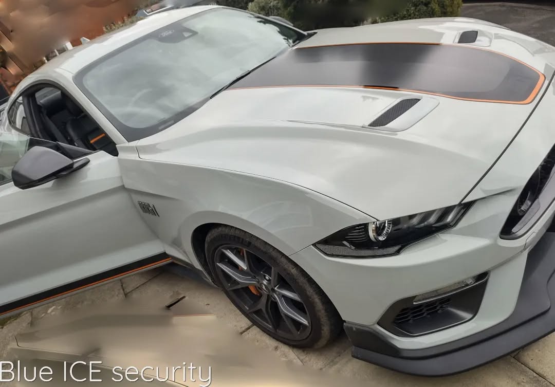 This monster Mustang Mach 1 is now fitted with a Thatcham approved Smartrack S5 iMob tracker.
If the Bluetooth driver ID card isn't present in the vehicle the car won't start.
Should the vehicle be stolen by other means the Global Telemetrics team can track it any where in Europe.
@blueicesecurity @smartrackltd #blueicesec #blueicesecurity #mustang #smartrack